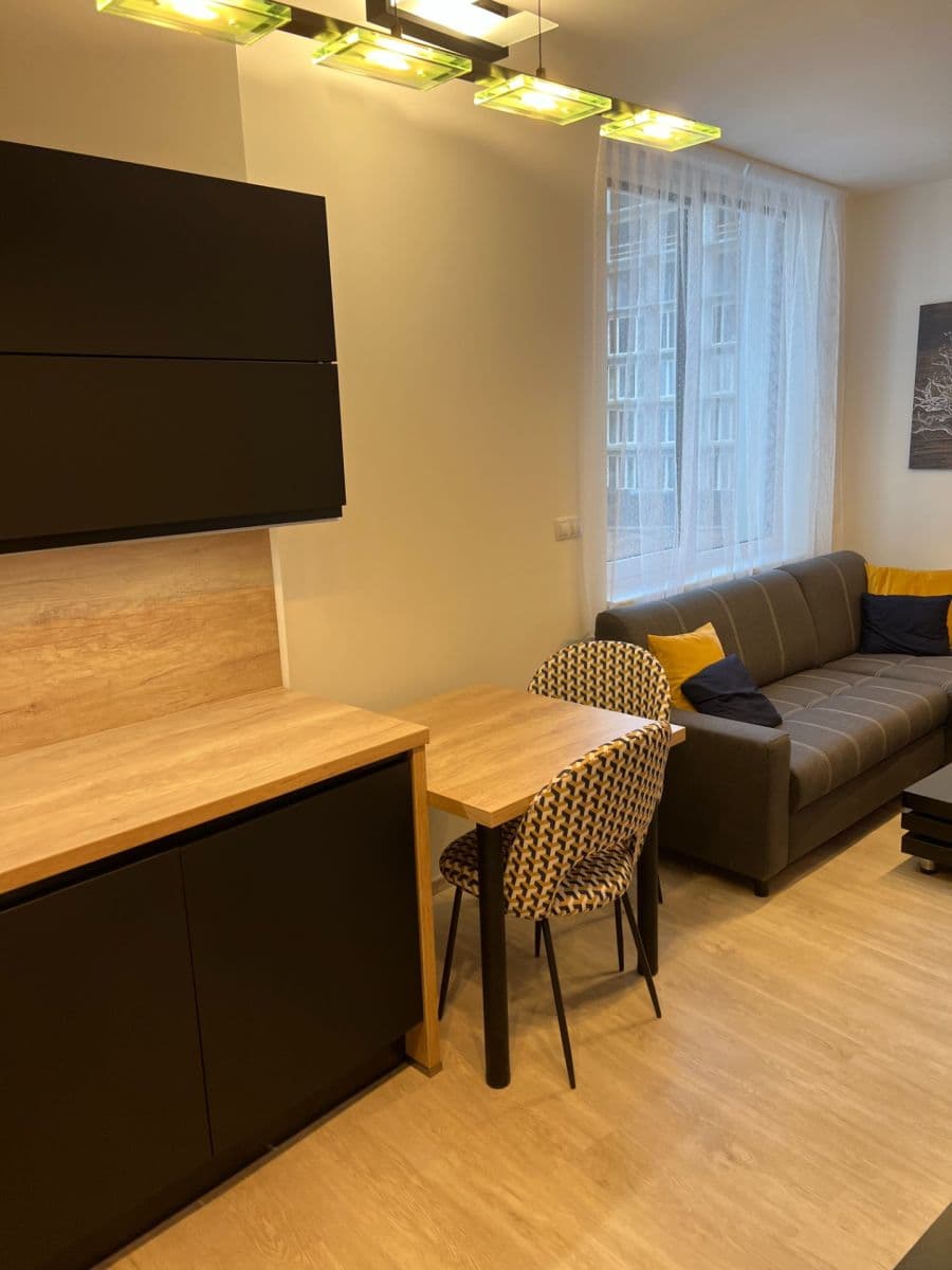Prenájom bytu 1-izbový 26 m², Placzkova, Brno, Jihomoravský kraj Prenájom bytu 1-izbový 26 m², Placzkova, Brno, Jihomoravský kraj