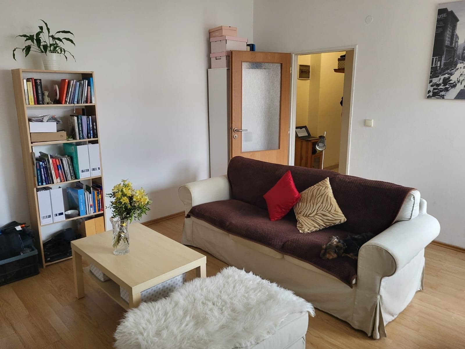 Prenájom bytu 2-izbový 45 m², Mojmírovo náměstí, Brno, Jihomoravský kraj Prenájom bytu 2-izbový 45 m², Mojmírovo náměstí, Brno, Jihomoravský kraj