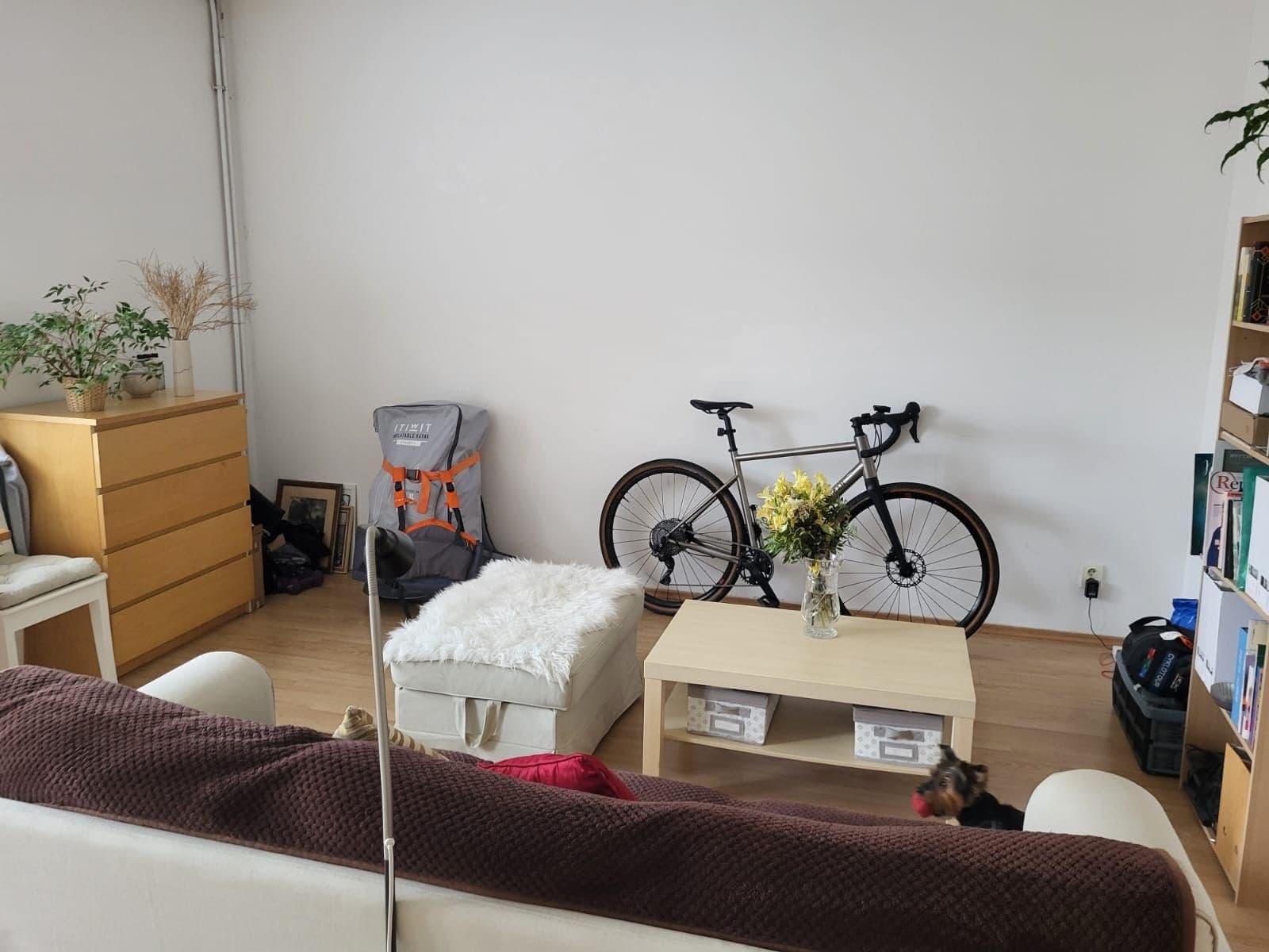 Prenájom bytu 2-izbový 45 m², Mojmírovo náměstí, Brno, Jihomoravský kraj Prenájom bytu 2-izbový 45 m², Mojmírovo náměstí, Brno, Jihomoravský kraj