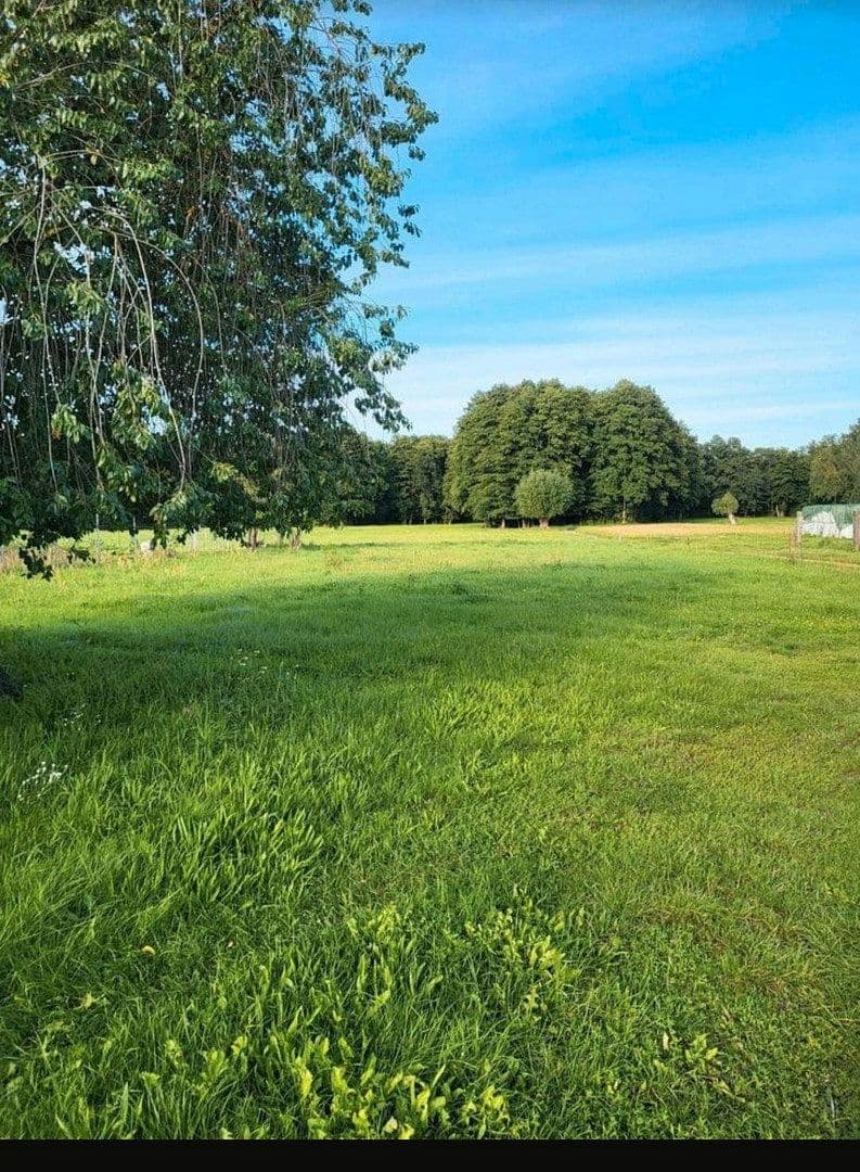 Predaj domu 100 m², pozemok 6.690 m², Kaden 6, Luckau, Brandenbursko Predaj domu 100 m², pozemok 6.690 m², Kaden 6, Luckau, Brandenbursko