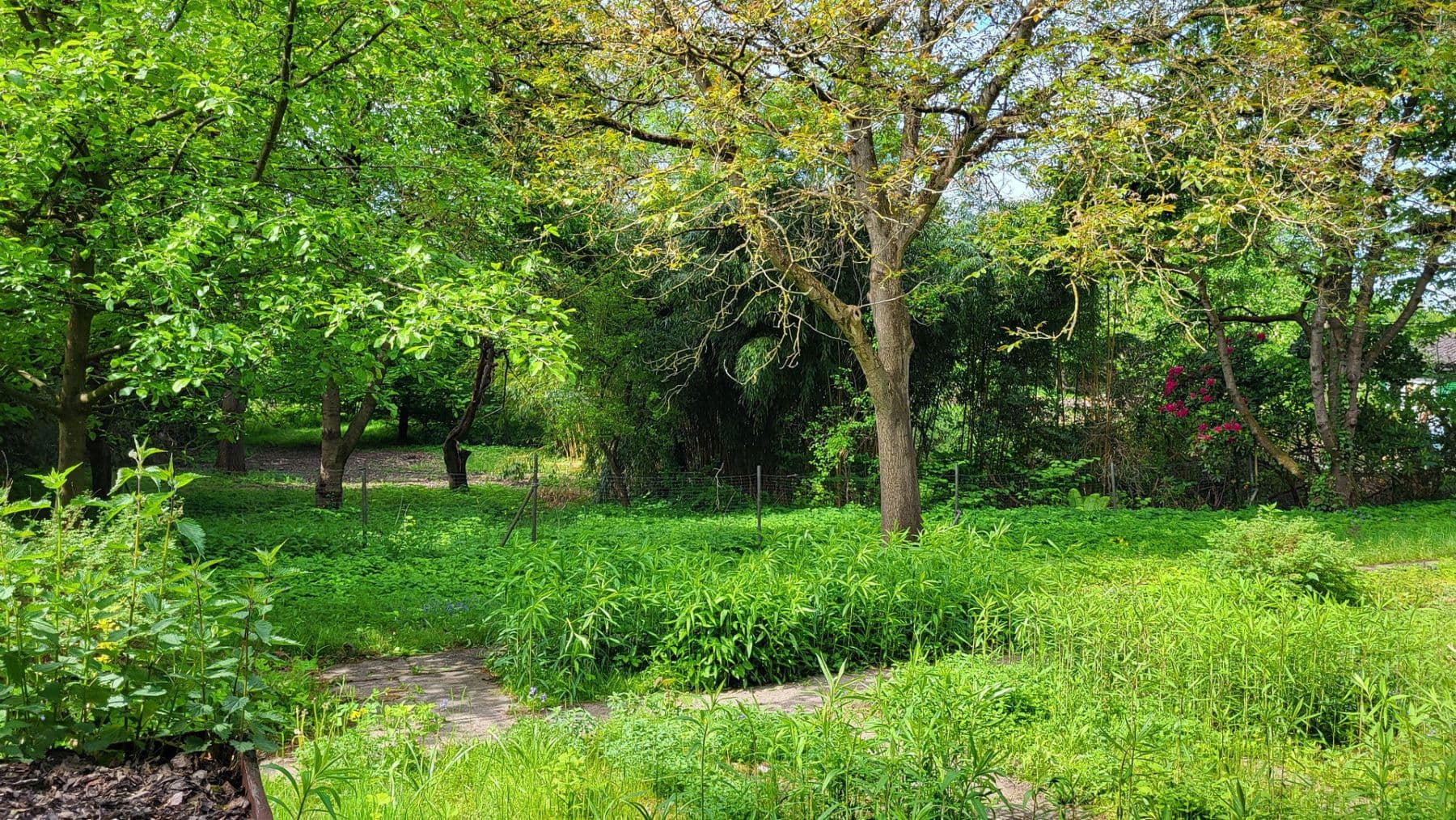 Predaj pozemku 550 m², Buxtehuder Straße 3, Moisburg, Dolné Sasko Predaj pozemku 550 m², Buxtehuder Straße 3, Moisburg, Dolné Sasko