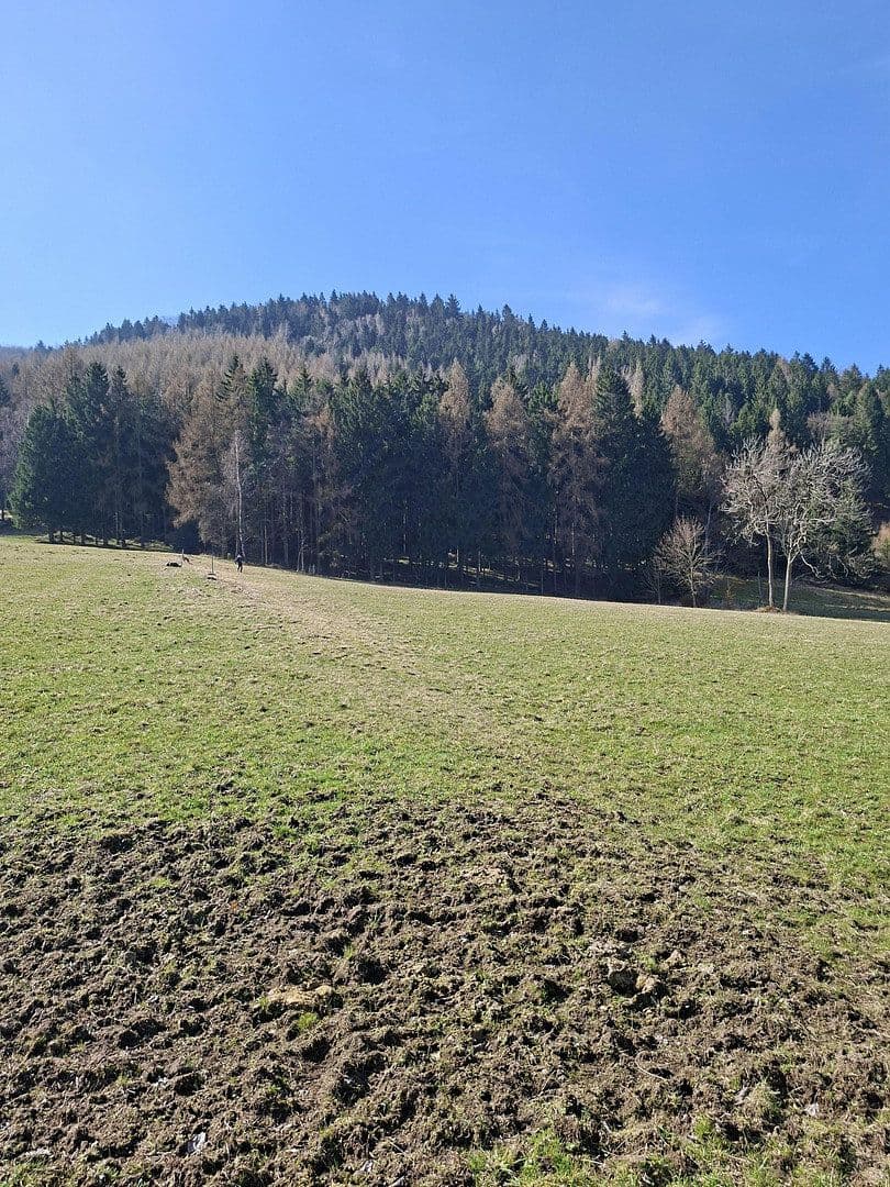 Predaj domu 100 m², pozemok 1.300 m², Hauptstraße 139, Großschönau, Sasko Predaj domu 100 m², pozemok 1.300 m², Hauptstraße 139, Großschönau, Sasko