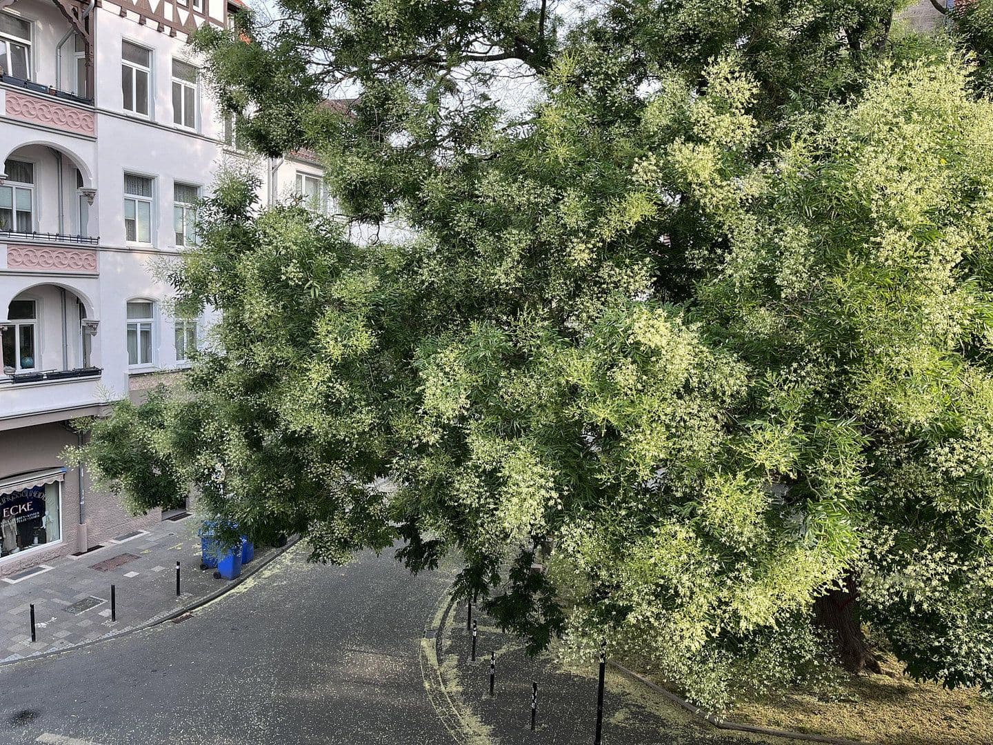 Prenájom bytu 2-izbový 39 m², Goschenstr.76, Hildesheim, Dolné Sasko Prenájom bytu 2-izbový 39 m², Goschenstr.76, Hildesheim, Dolné Sasko