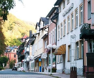 Prenájom bytu 4-izbový 145 m², Schlangenbad, Hesensko Prenájom bytu 4-izbový 145 m², Schlangenbad, Hesensko