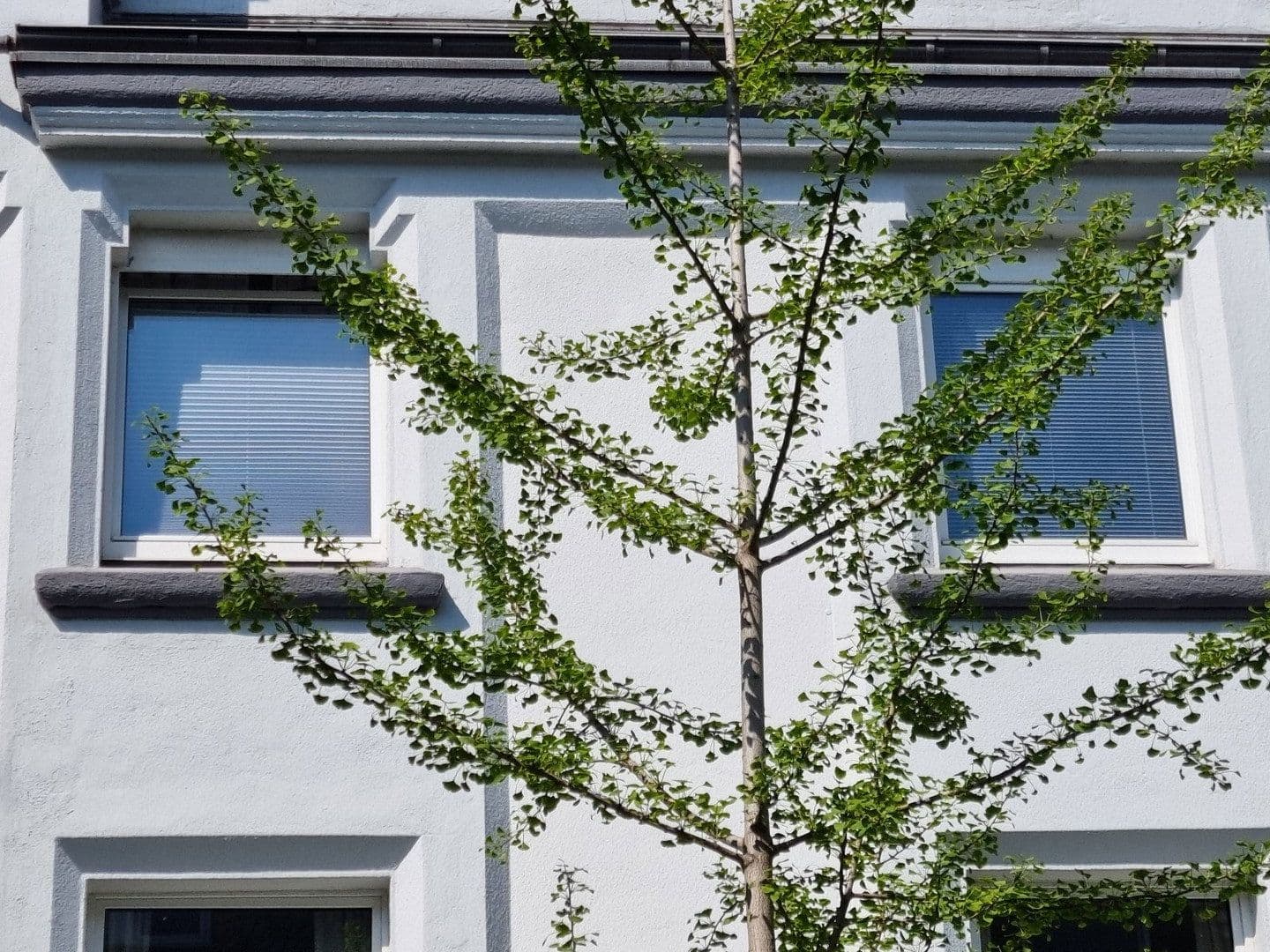 Prenájom bytu 2-izbový 41 m², Lippestraße 9, Duisburg, Severné Porýnie - Westfálsko Prenájom bytu 2-izbový 41 m², Lippestraße 9, Duisburg, Severné Porýnie - Westfálsko
