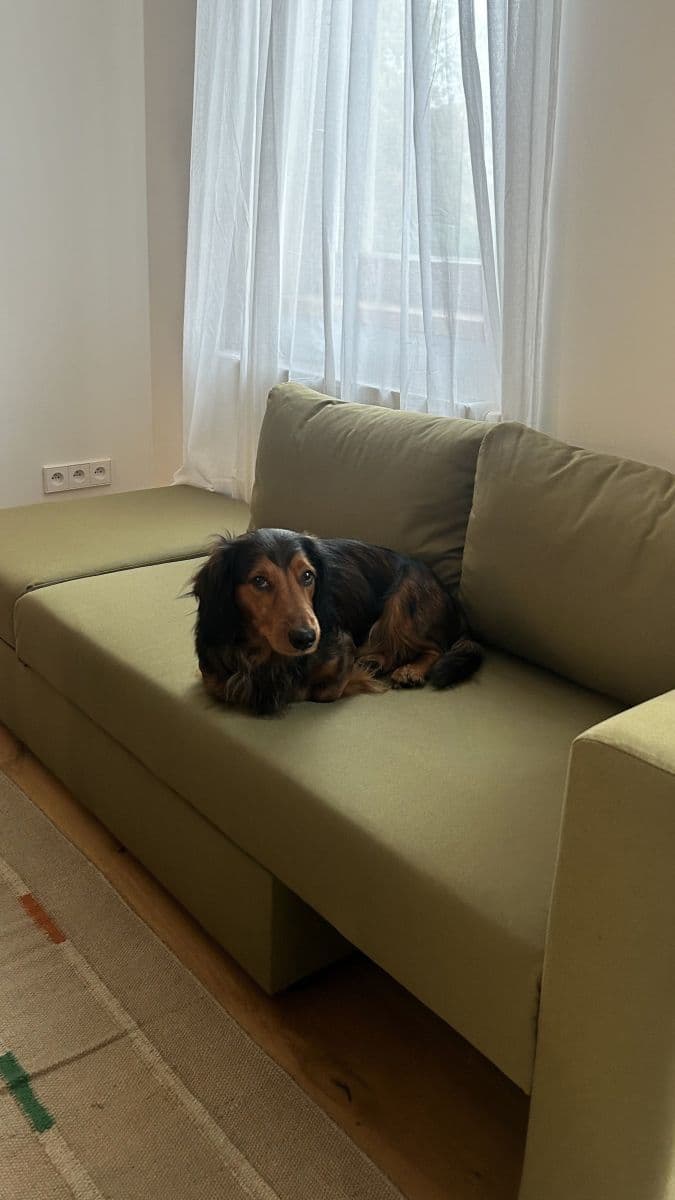 Prenájom bytu 32 m², Lumírova, Praha, Praha Prenájom bytu 32 m², Lumírova, Praha, Praha
