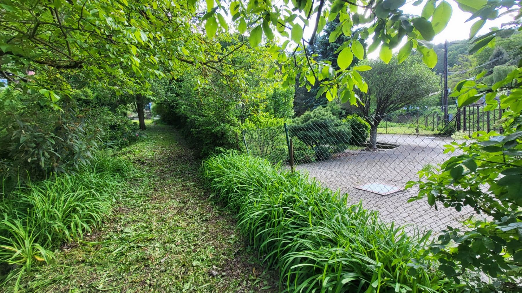 Predaj pozemku 1.087 m², Muškátová, Brno, Jihomoravský kraj Predaj pozemku 1.087 m², Muškátová, Brno, Jihomoravský kraj