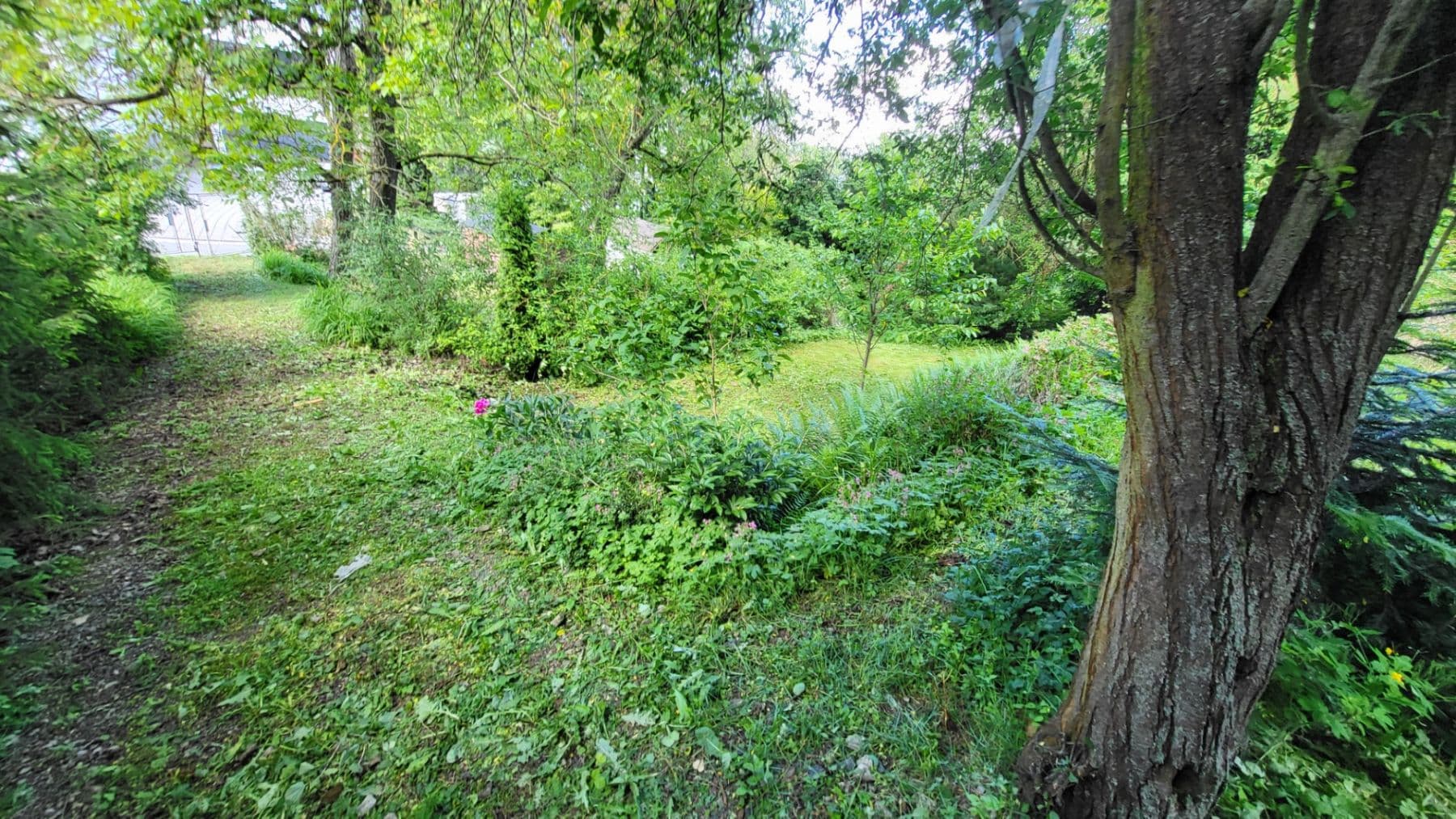Predaj pozemku 1.087 m², Muškátová, Brno, Jihomoravský kraj Predaj pozemku 1.087 m², Muškátová, Brno, Jihomoravský kraj