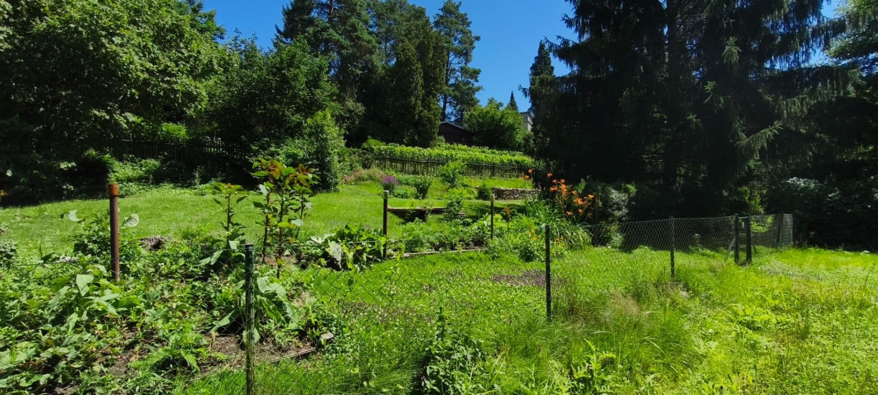 Predaj pozemku 1.608 m², Ujkovice, Středočeský kraj Predaj pozemku 1.608 m², Ujkovice, Středočeský kraj