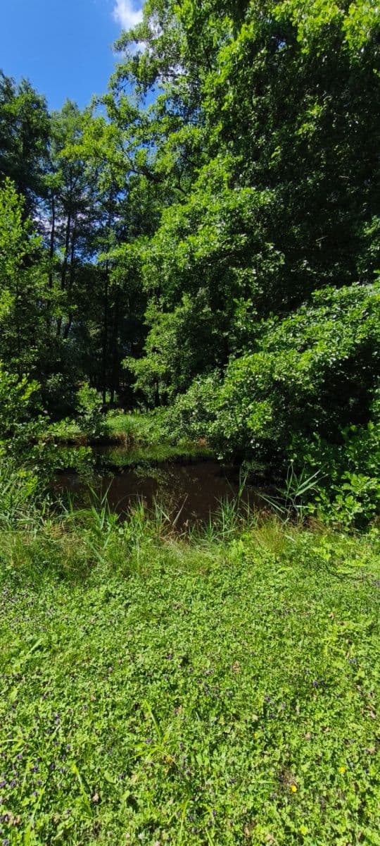 Predaj pozemku 1.608 m², Ujkovice, Středočeský kraj Predaj pozemku 1.608 m², Ujkovice, Středočeský kraj