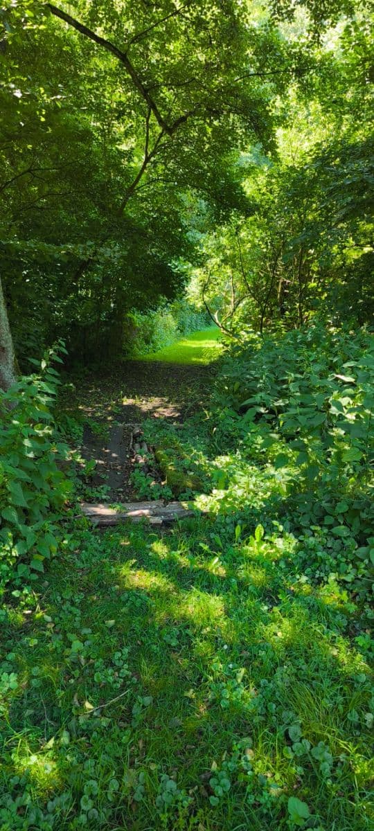 Predaj pozemku 1.608 m², Ujkovice, Středočeský kraj Predaj pozemku 1.608 m², Ujkovice, Středočeský kraj