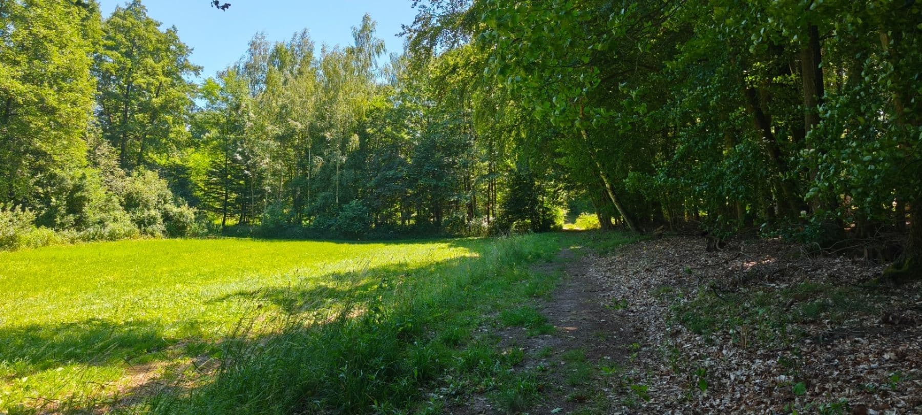Predaj pozemku 1.608 m², Ujkovice, Středočeský kraj Predaj pozemku 1.608 m², Ujkovice, Středočeský kraj