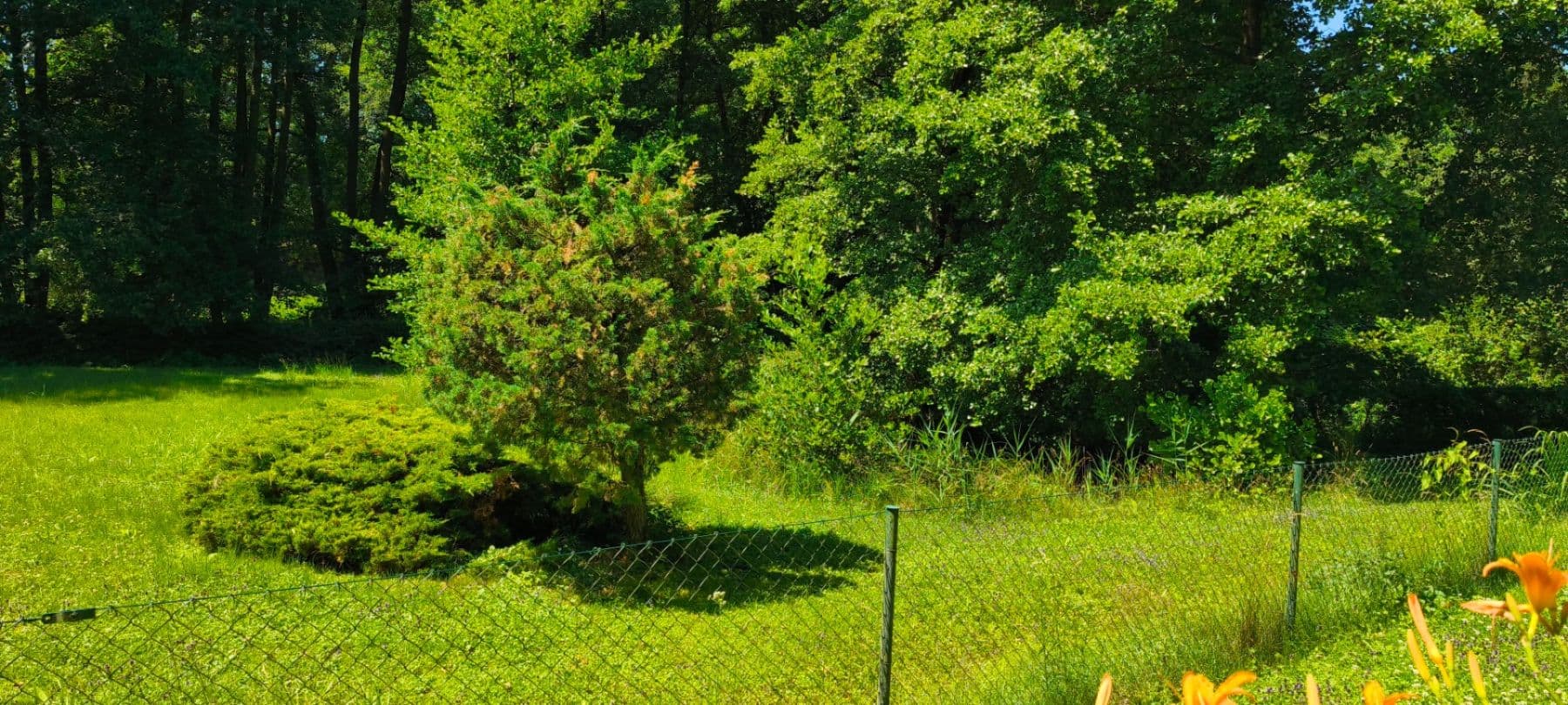 Predaj pozemku 1.608 m², Ujkovice, Středočeský kraj Predaj pozemku 1.608 m², Ujkovice, Středočeský kraj