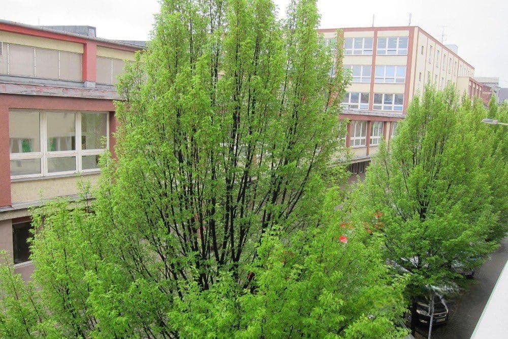 Prenájom bytu 1-izbový 44 m², Dr. Šmerala, Ostrava, Moravskoslezský kraj Prenájom bytu 1-izbový 44 m², Dr. Šmerala, Ostrava, Moravskoslezský kraj