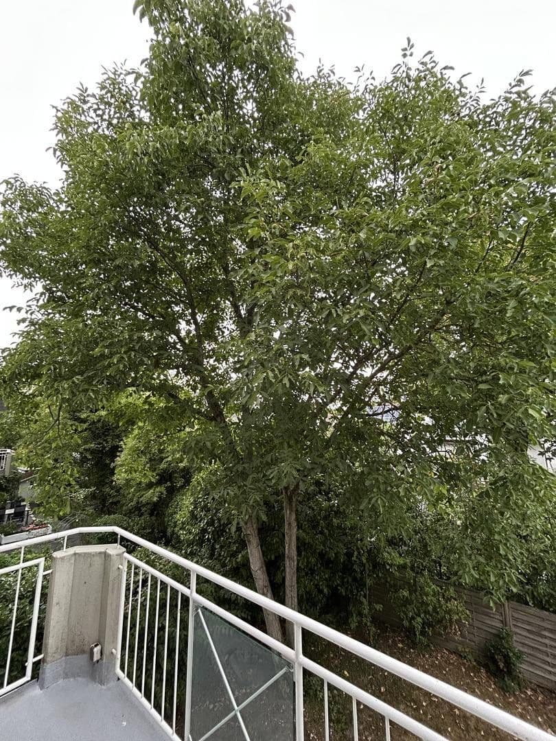 Prenájom bytu 2-izbový 70 m², Am Weiher 39-41, Hochheim, Hesensko Prenájom bytu 2-izbový 70 m², Am Weiher 39-41, Hochheim, Hesensko