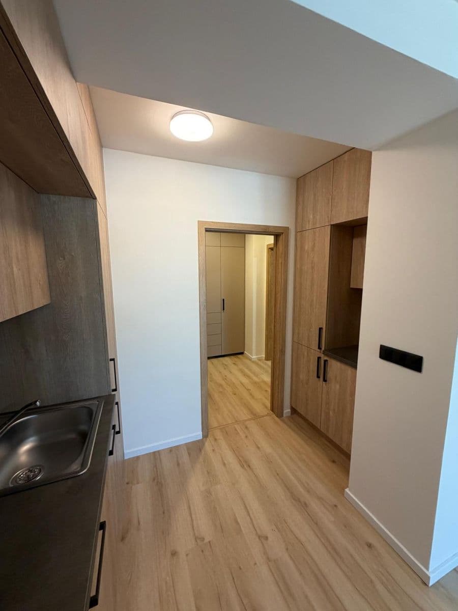 Prenájom bytu 1-izbový 43 m², Nad dědinou, Brno, Jihomoravský kraj Prenájom bytu 1-izbový 43 m², Nad dědinou, Brno, Jihomoravský kraj