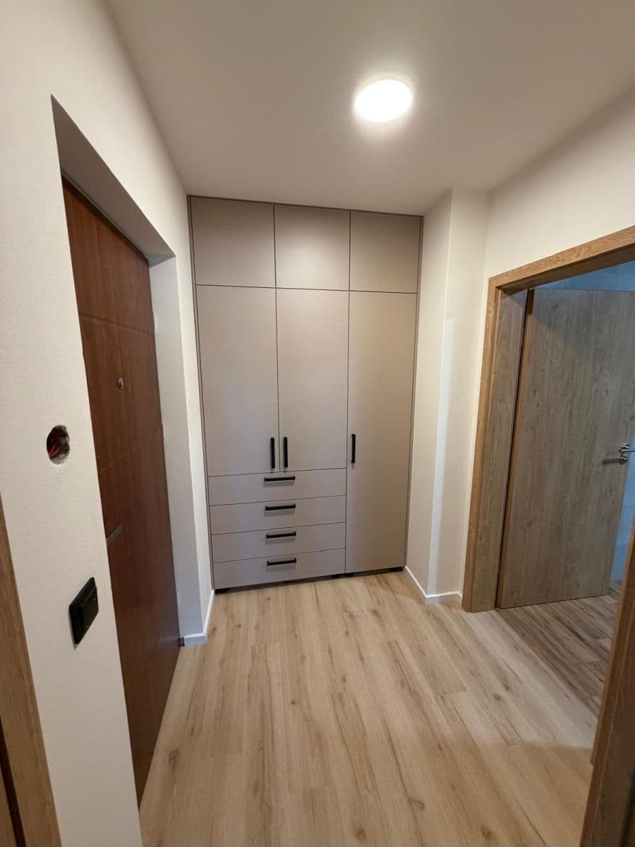 Prenájom bytu 1-izbový 43 m², Nad dědinou, Brno, Jihomoravský kraj Prenájom bytu 1-izbový 43 m², Nad dědinou, Brno, Jihomoravský kraj