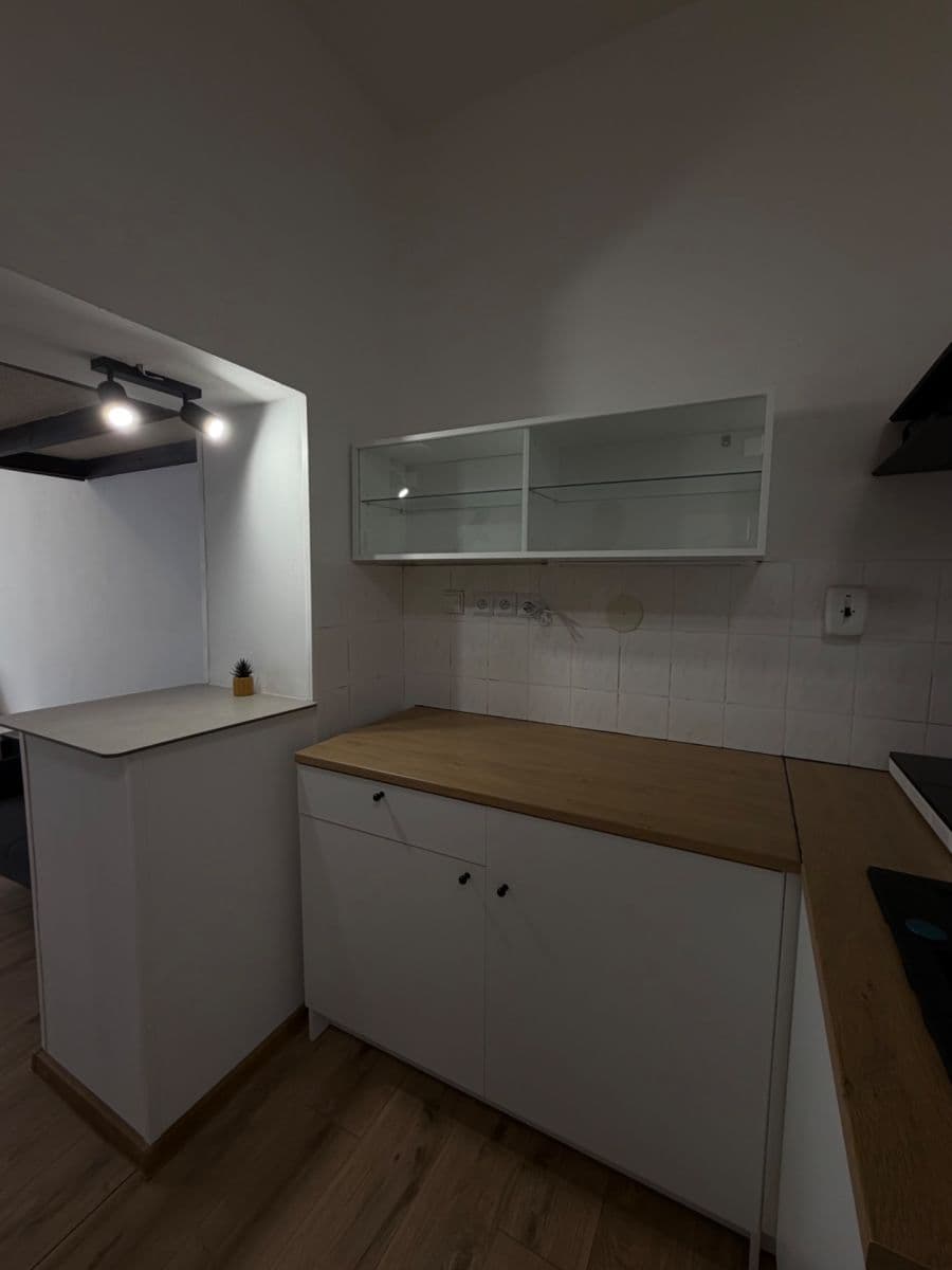 Prenájom bytu 1-izbový 33 m², Sevastopolská, Praha, Praha Prenájom bytu 1-izbový 33 m², Sevastopolská, Praha, Praha