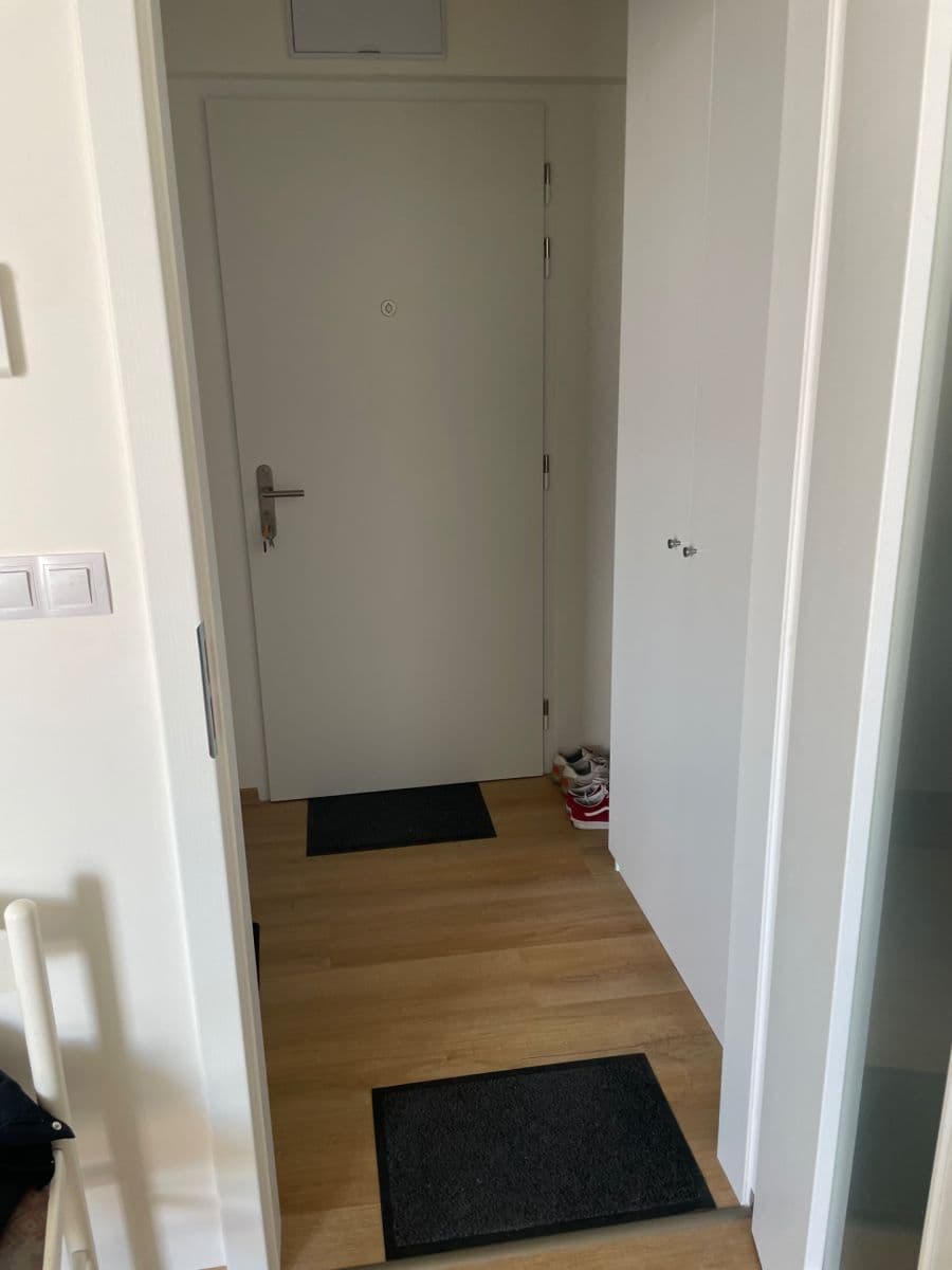 Prenájom bytu 1-izbový 28 m², Placzkova, Brno, Jihomoravský kraj Prenájom bytu 1-izbový 28 m², Placzkova, Brno, Jihomoravský kraj