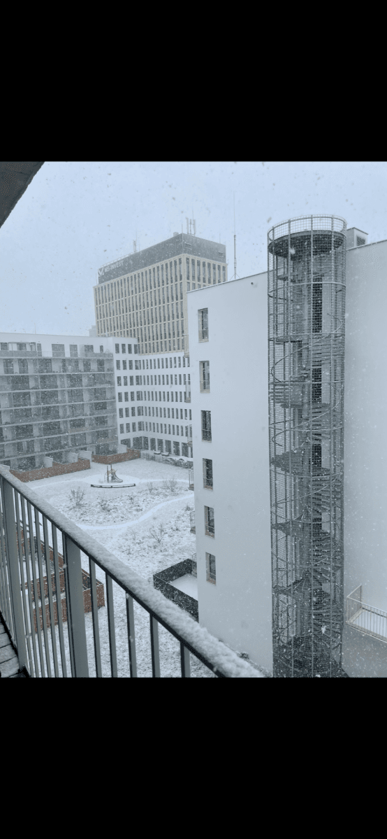 Prenájom bytu 1-izbový 28 m², Placzkova, Brno, Jihomoravský kraj Prenájom bytu 1-izbový 28 m², Placzkova, Brno, Jihomoravský kraj