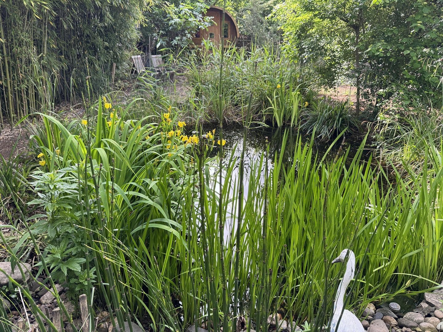 Predaj domu 178 m², pozemok 641 m², Köln, Severné Porýnie - Westfálsko Predaj domu 178 m², pozemok 641 m², Köln, Severné Porýnie - Westfálsko