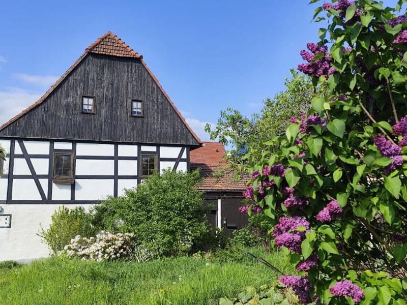Prenájom bytu 1-izbový 66 m², Zur Hohle 2, Dresden, Sasko Prenájom bytu 1-izbový 66 m², Zur Hohle 2, Dresden, Sasko