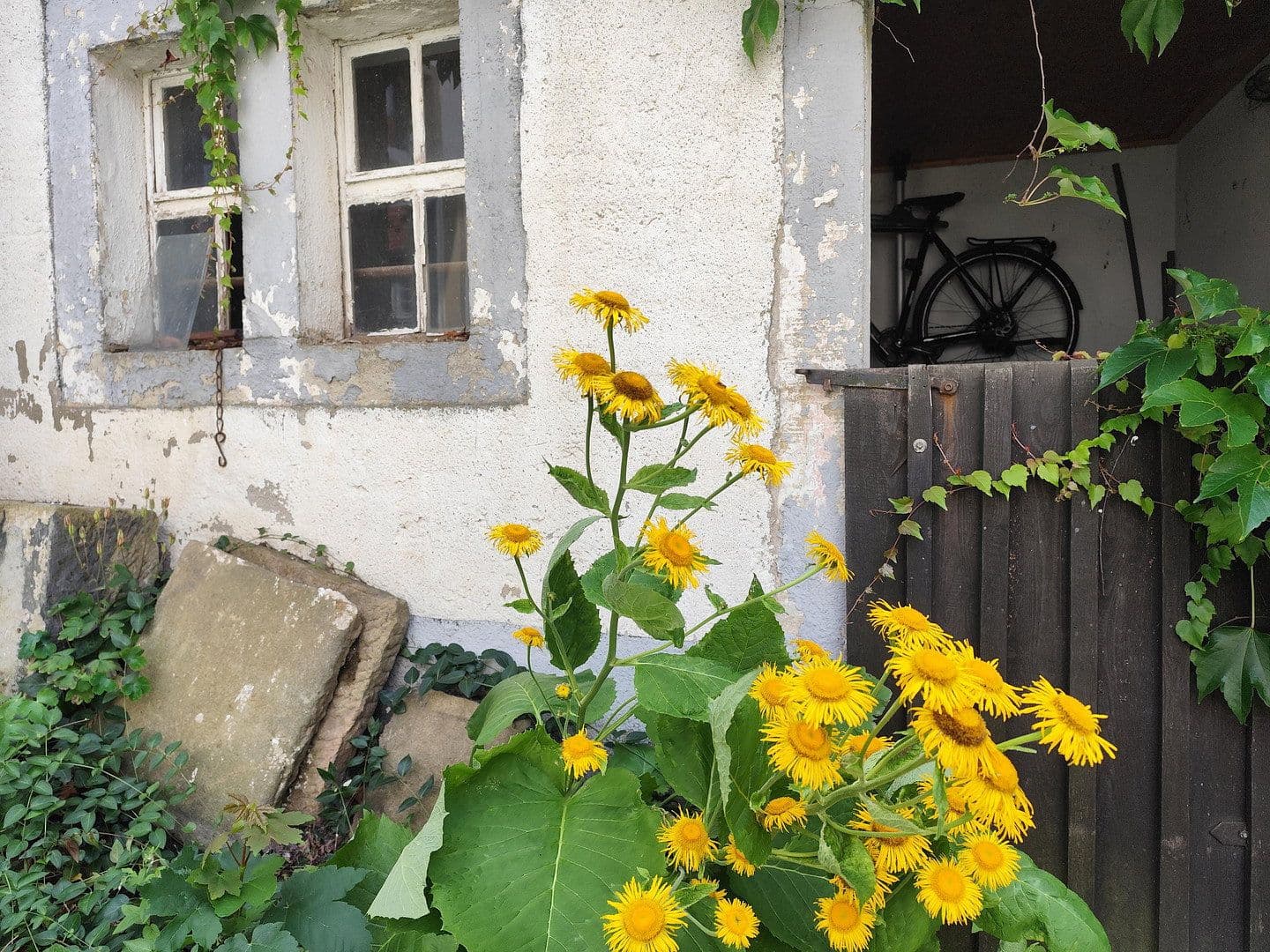 Prenájom bytu 1-izbový 66 m², Zur Hohle 2, Dresden, Sasko Prenájom bytu 1-izbový 66 m², Zur Hohle 2, Dresden, Sasko