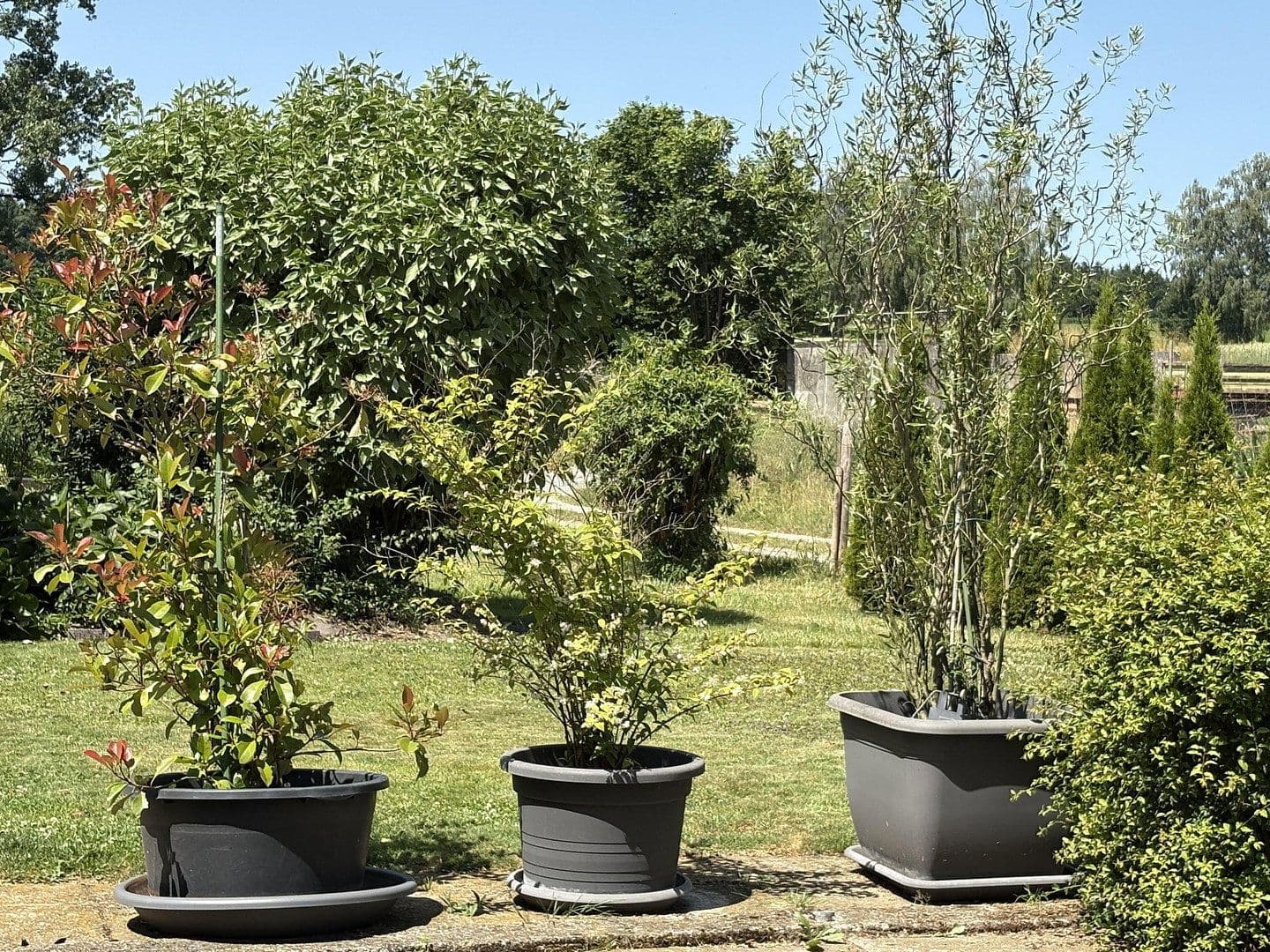 Predaj domu 351 m², pozemok 2.442 m², Weißenhorn, Bavorsko Predaj domu 351 m², pozemok 2.442 m², Weißenhorn, Bavorsko