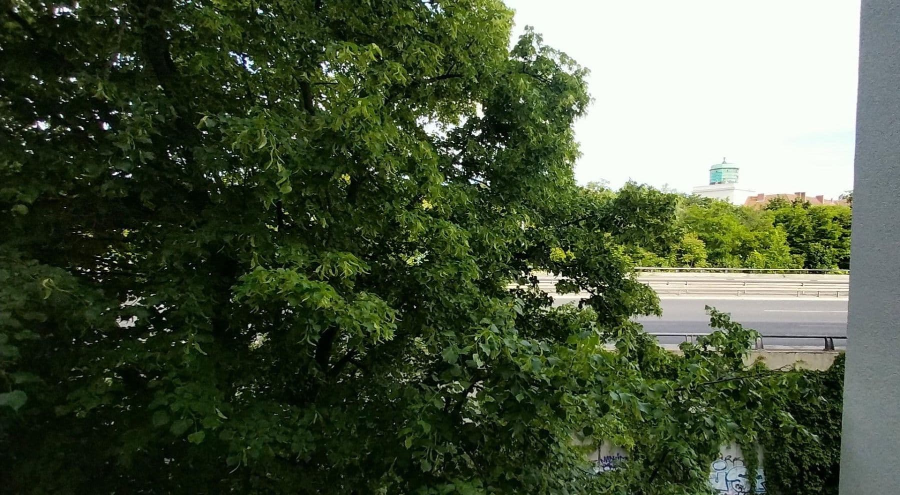 Prenájom bytu 1-izbový 27 m², Rembrandtstraße 20, Berlin, Berlín Prenájom bytu 1-izbový 27 m², Rembrandtstraße 20, Berlin, Berlín