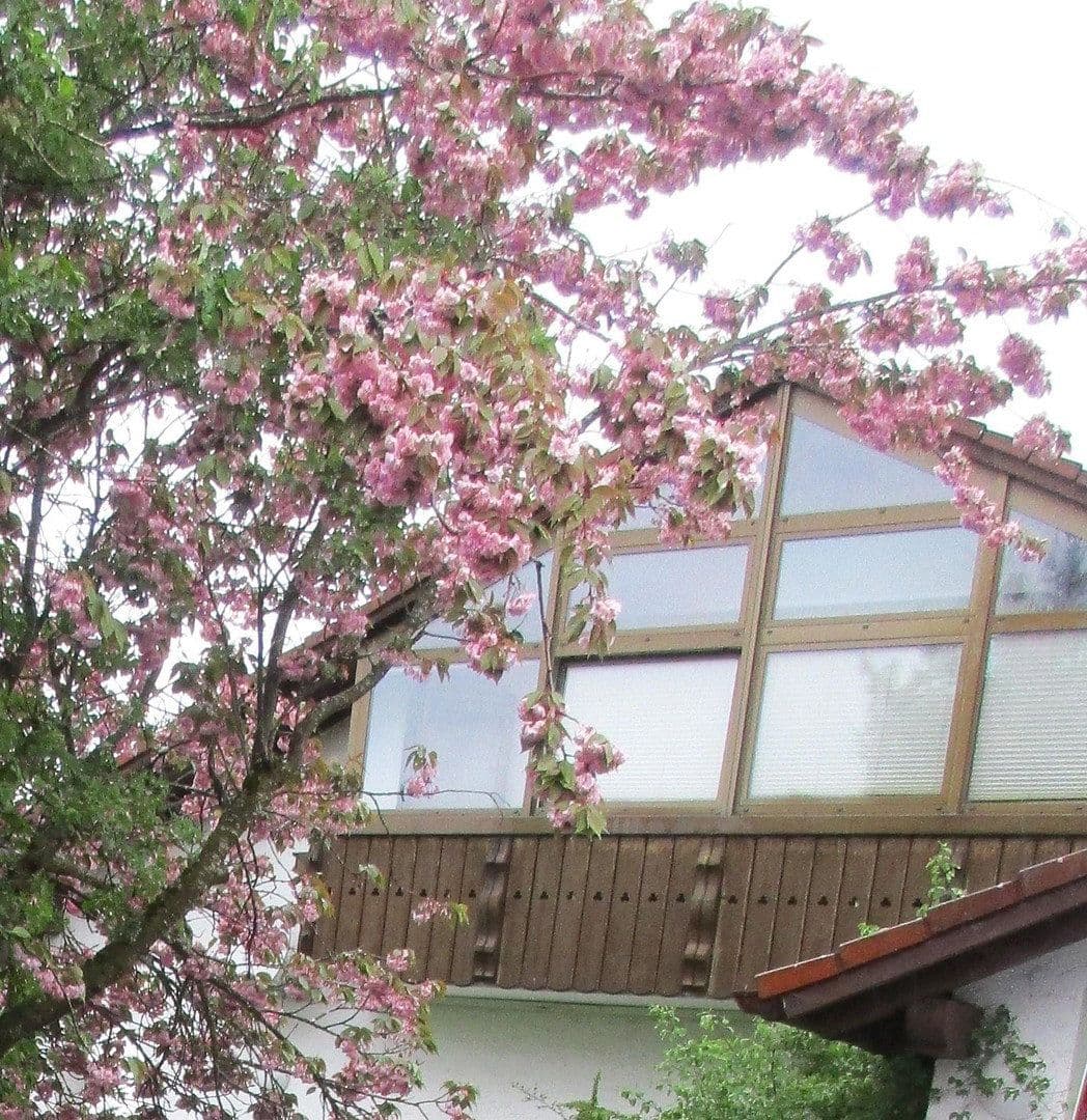 Predaj bytu 4-izbový 99 m², Haldenwang, Bavorsko Predaj bytu 4-izbový 99 m², Haldenwang, Bavorsko