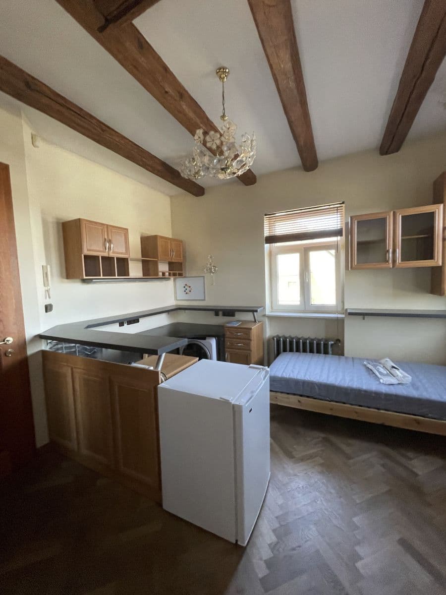 Prenájom bytu 1-izbový 15 m², V Olšinách, Praha, Praha Prenájom bytu 1-izbový 15 m², V Olšinách, Praha, Praha