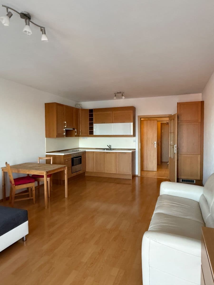 Prenájom bytu 1-izbový 45 m², Panuškova, Praha, Praha Prenájom bytu 1-izbový 45 m², Panuškova, Praha, Praha