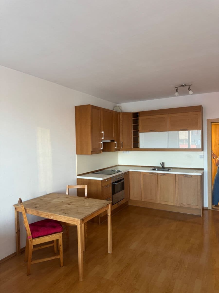 Prenájom bytu 1-izbový 45 m², Panuškova, Praha, Praha Prenájom bytu 1-izbový 45 m², Panuškova, Praha, Praha
