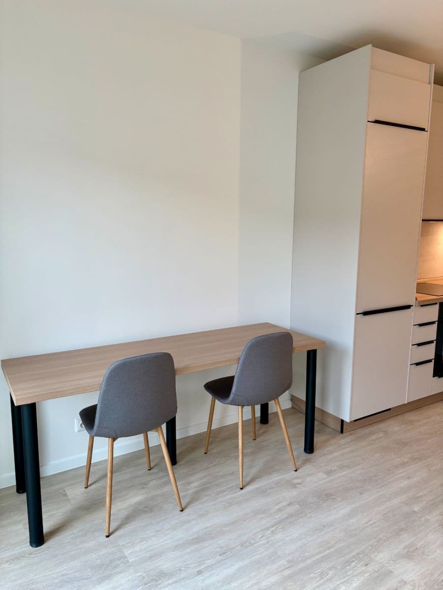 Prenájom bytu 1-izbový 27 m², Svitavská, Brno, Jihomoravský kraj Prenájom bytu 1-izbový 27 m², Svitavská, Brno, Jihomoravský kraj