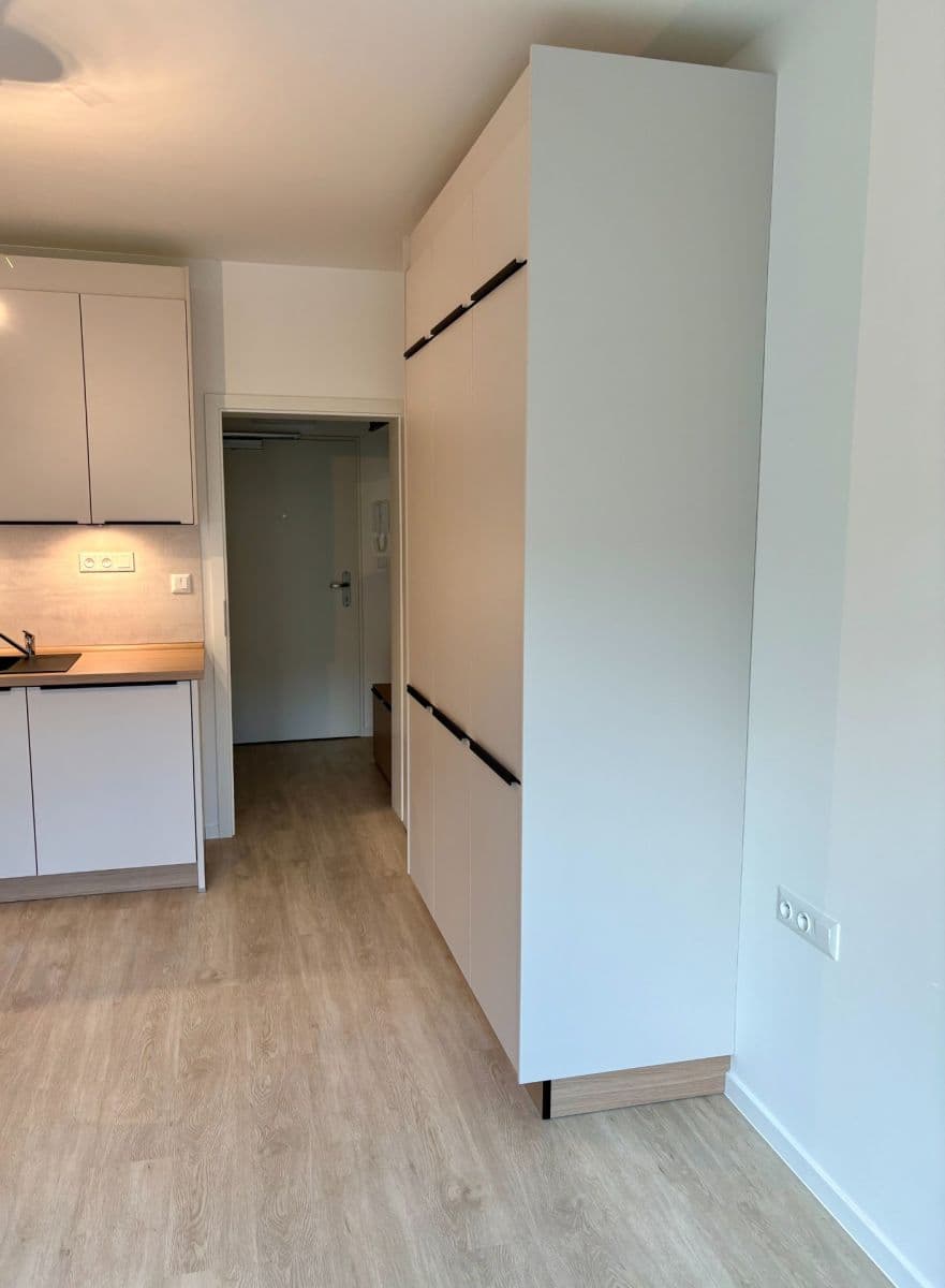 Prenájom bytu 1-izbový 27 m², Svitavská, Brno, Jihomoravský kraj Prenájom bytu 1-izbový 27 m², Svitavská, Brno, Jihomoravský kraj