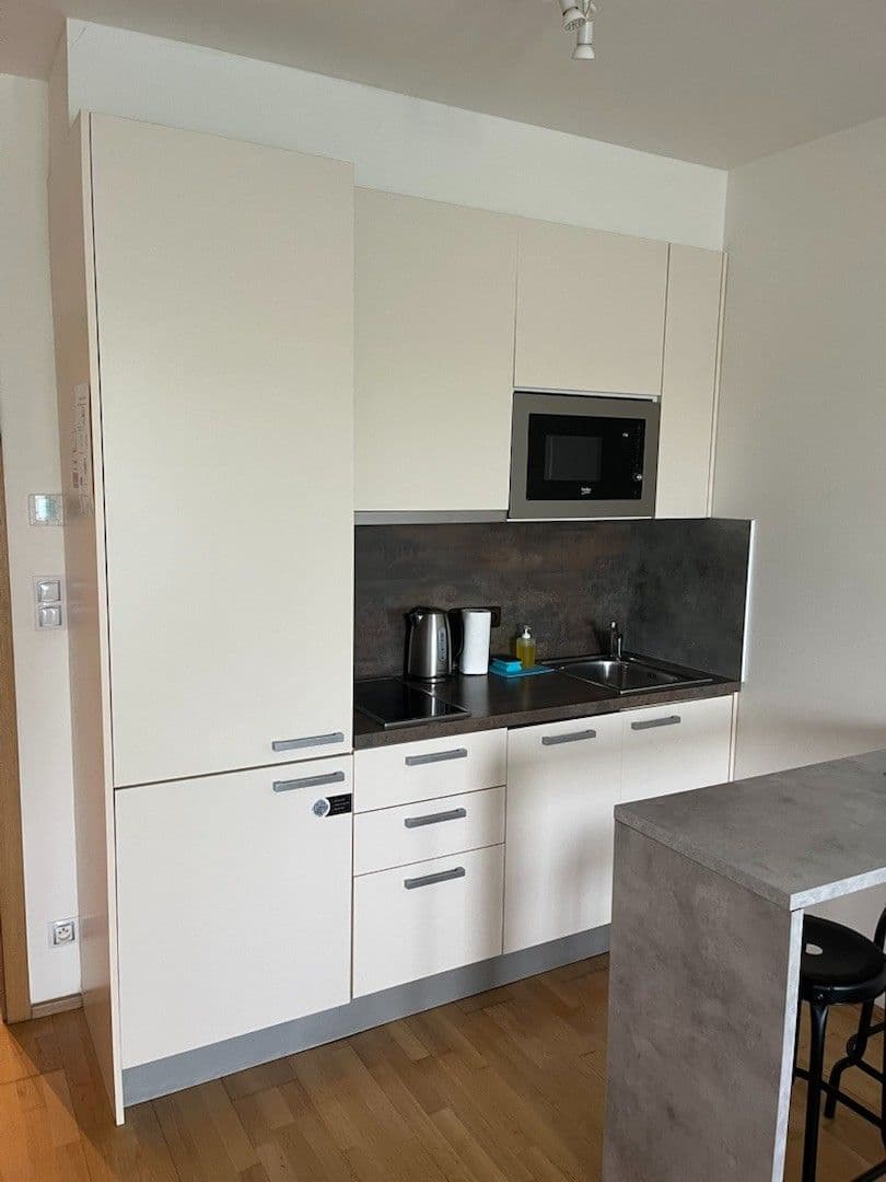Prenájom bytu 1-izbový 36 m², Olšanská, Praha, Praha Prenájom bytu 1-izbový 36 m², Olšanská, Praha, Praha