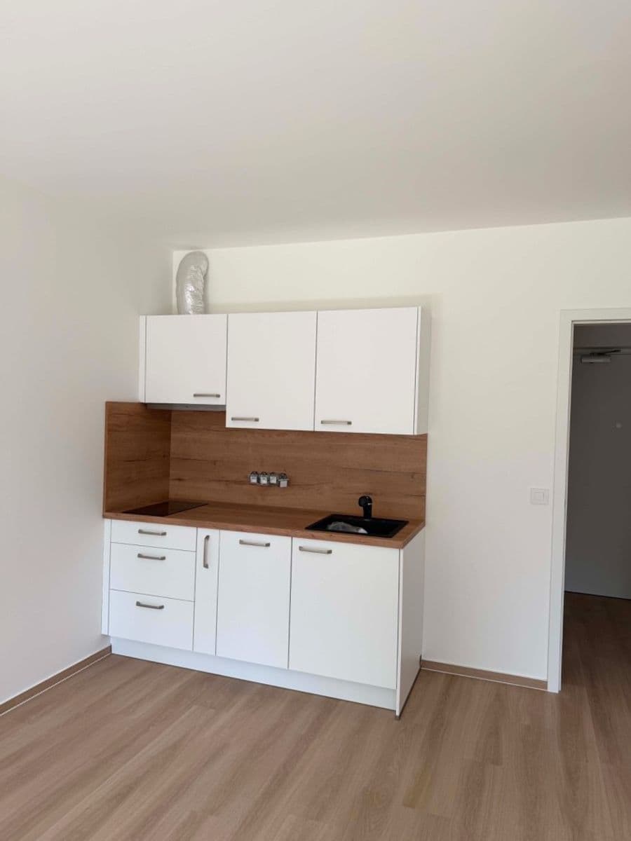 Prenájom bytu 1-izbový 35 m², Střední, Brno, Jihomoravský kraj Prenájom bytu 1-izbový 35 m², Střední, Brno, Jihomoravský kraj