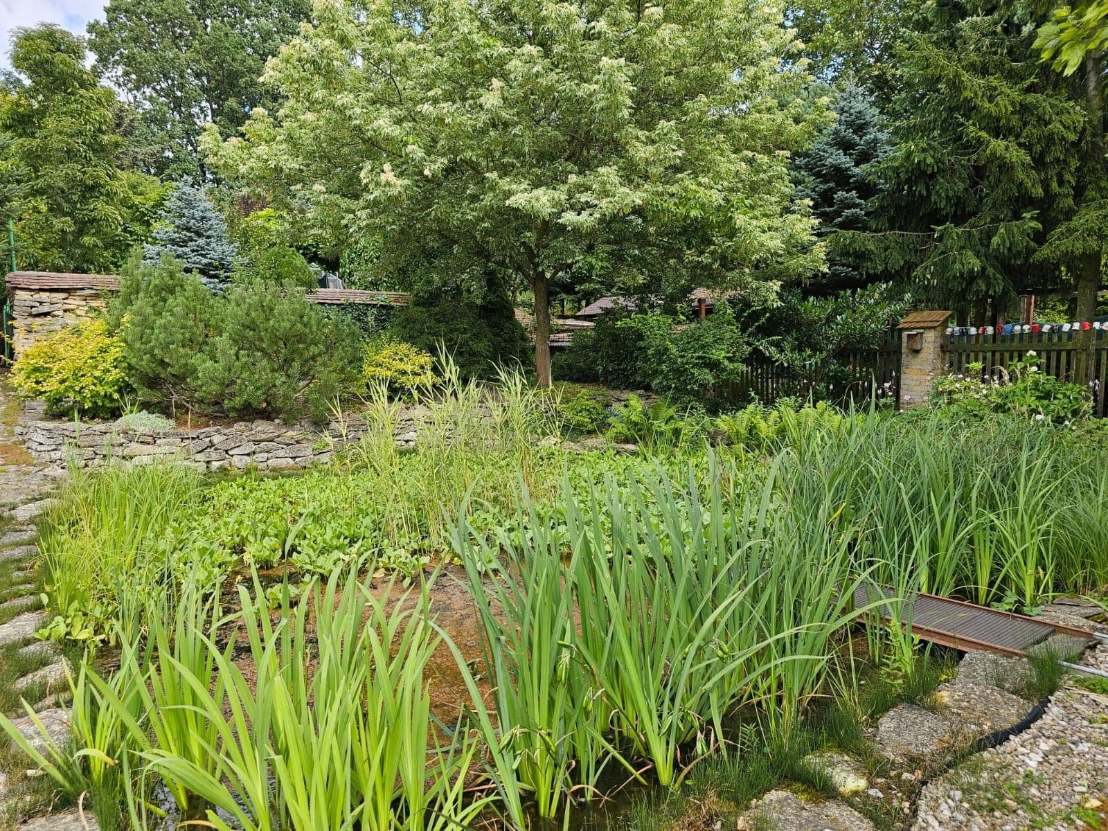 Predaj domu 1.067 m², pozemok 1.970 m², Vraclav, Pardubický kraj Predaj domu 1.067 m², pozemok 1.970 m², Vraclav, Pardubický kraj