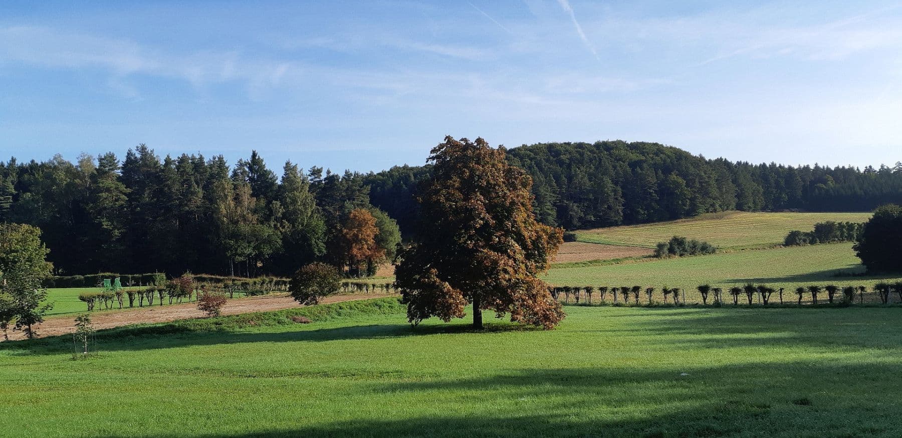 Predaj domu 400 m², pozemok 20.700 m², Gößweinstein, Bavorsko Predaj domu 400 m², pozemok 20.700 m², Gößweinstein, Bavorsko