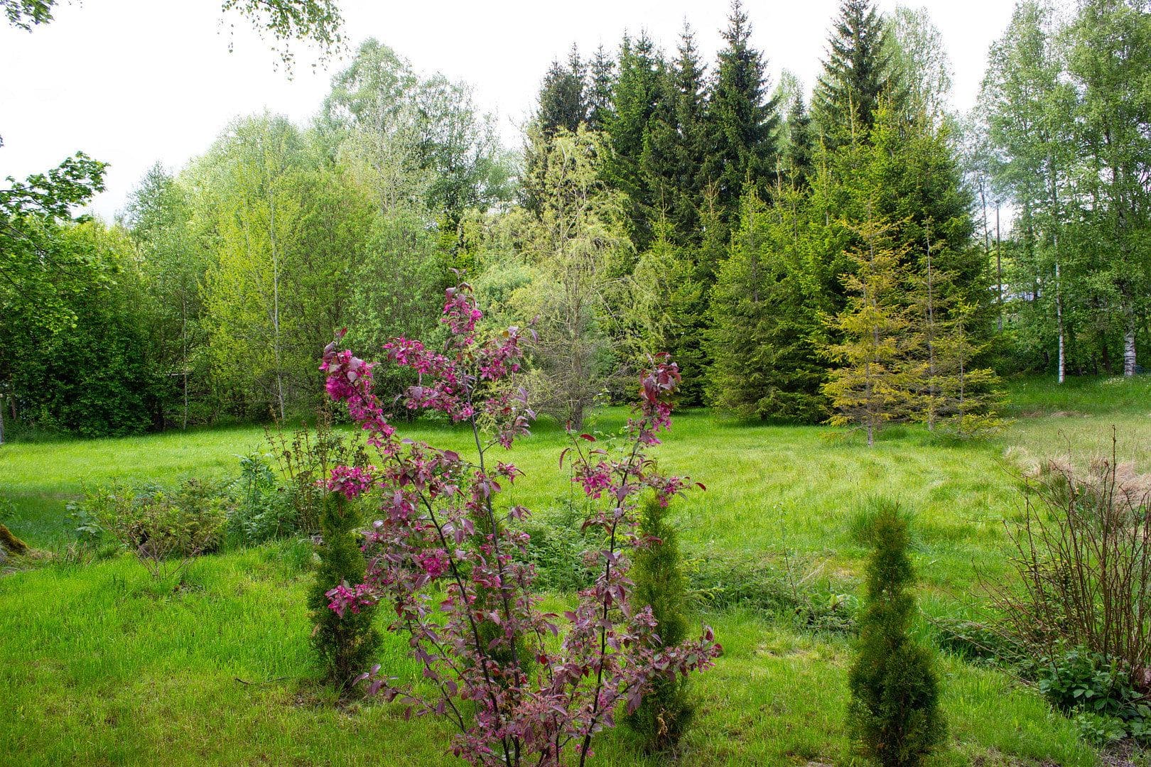 Predaj domu 110 m², pozemok 2.400 m², Muldenhammer, Sasko Predaj domu 110 m², pozemok 2.400 m², Muldenhammer, Sasko