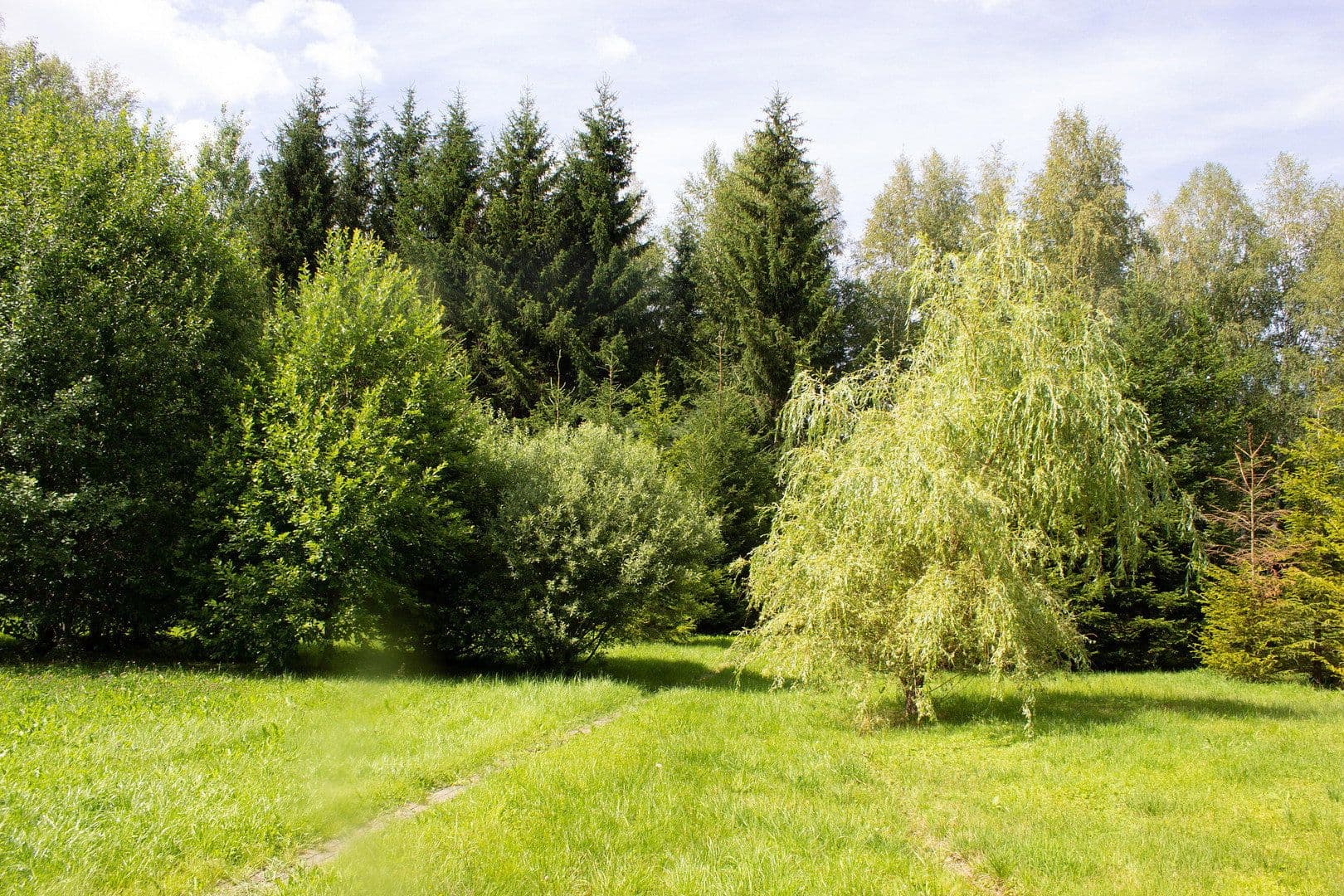 Predaj domu 110 m², pozemok 2.400 m², Muldenhammer, Sasko Predaj domu 110 m², pozemok 2.400 m², Muldenhammer, Sasko