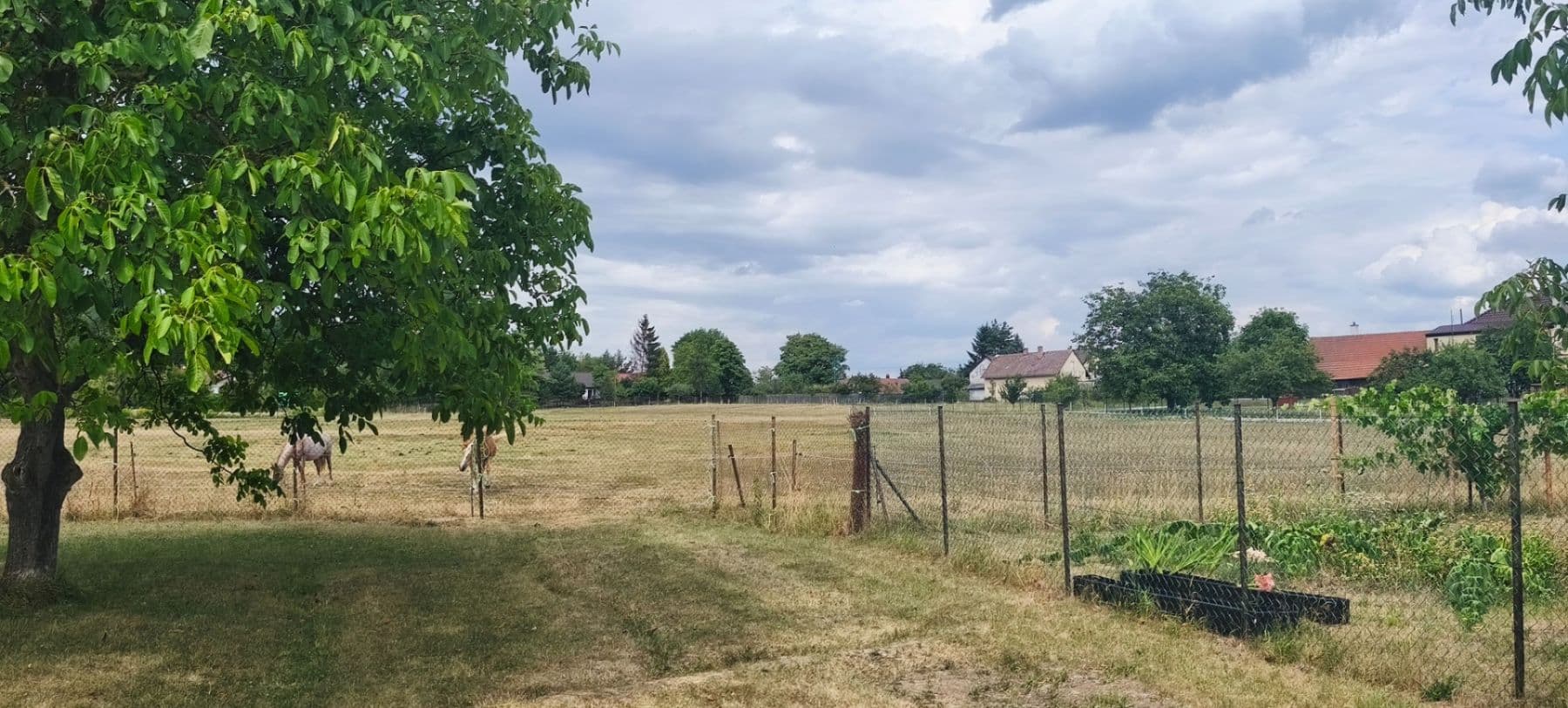 Predaj pozemku 782 m², Jizbice, Středočeský kraj Predaj pozemku 782 m², Jizbice, Středočeský kraj