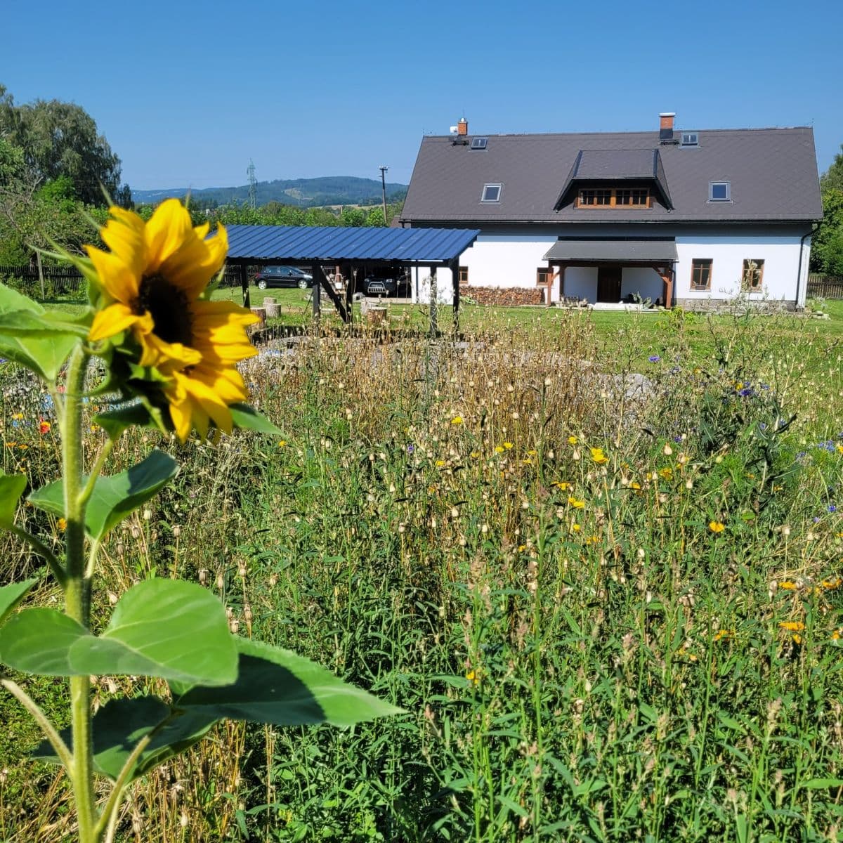 Prenájom domu 260 m², pozemok 3.000 m², Velký Šenov, Ústecký kraj Prenájom domu 260 m², pozemok 3.000 m², Velký Šenov, Ústecký kraj