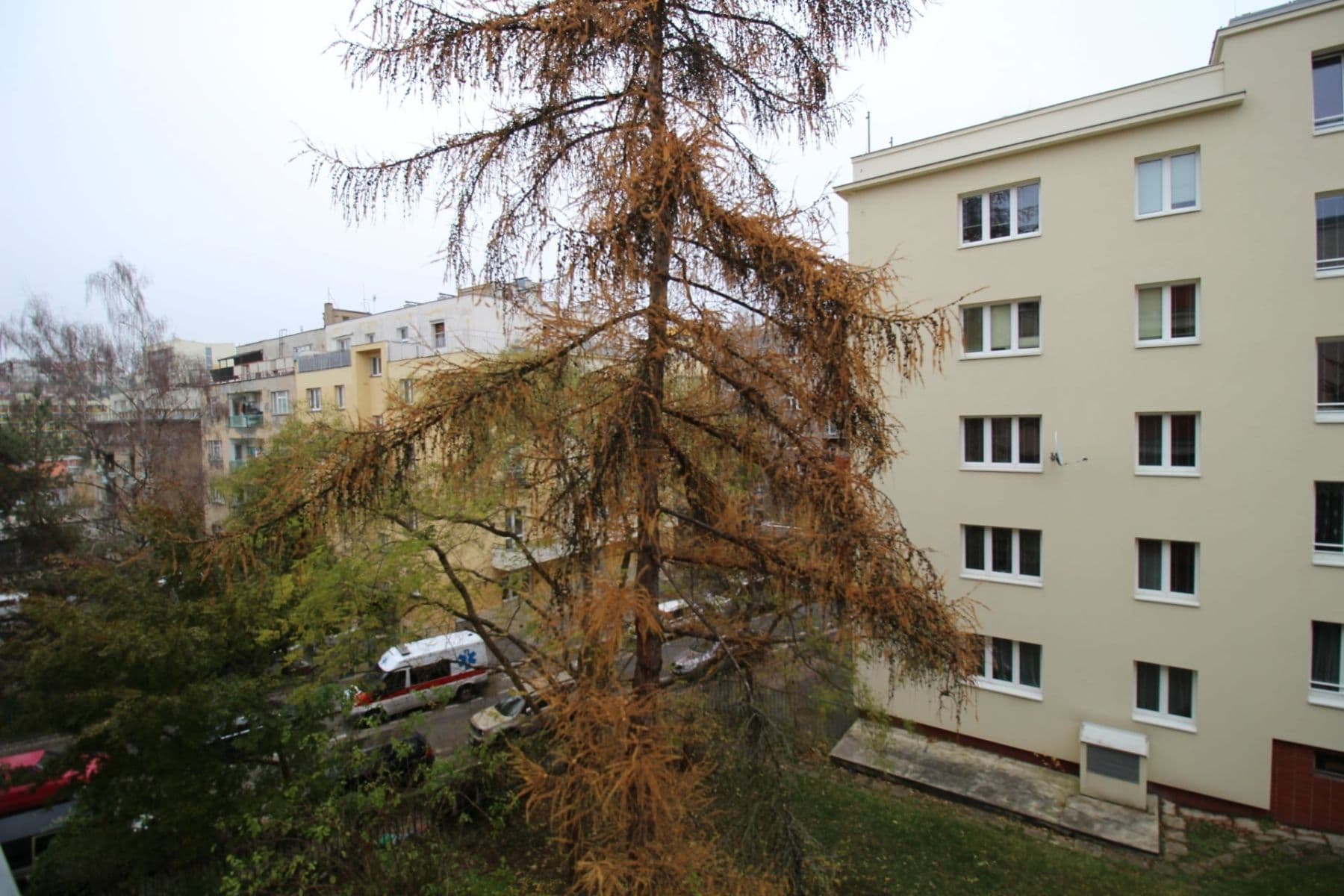 Prenájom bytu 2-izbový 50 m², Mládeže, Praha, Praha Prenájom bytu 2-izbový 50 m², Mládeže, Praha, Praha
