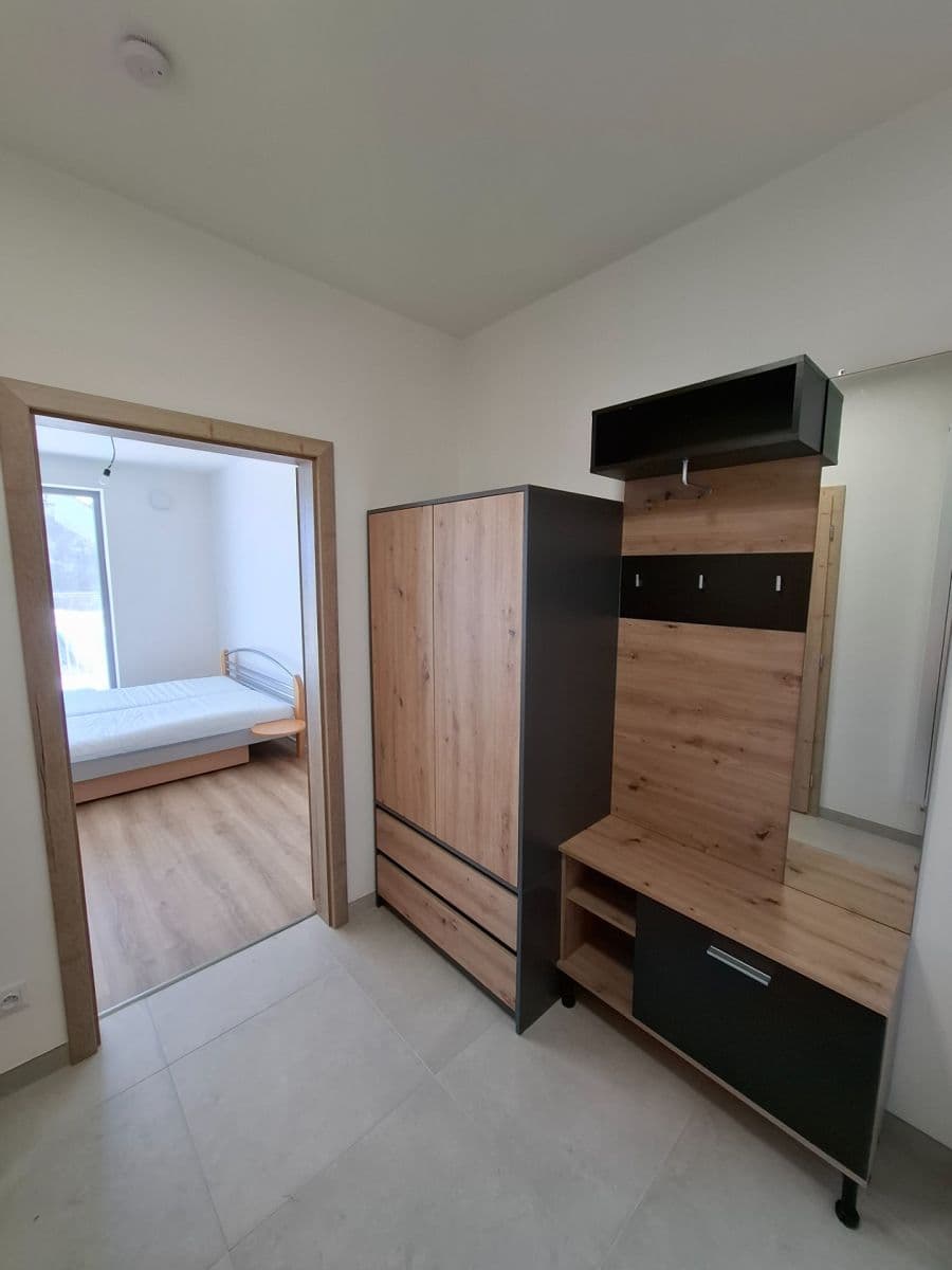 Prenájom bytu 1-izbový 32 m², Řepova, Brno, Jihomoravský kraj Prenájom bytu 1-izbový 32 m², Řepova, Brno, Jihomoravský kraj