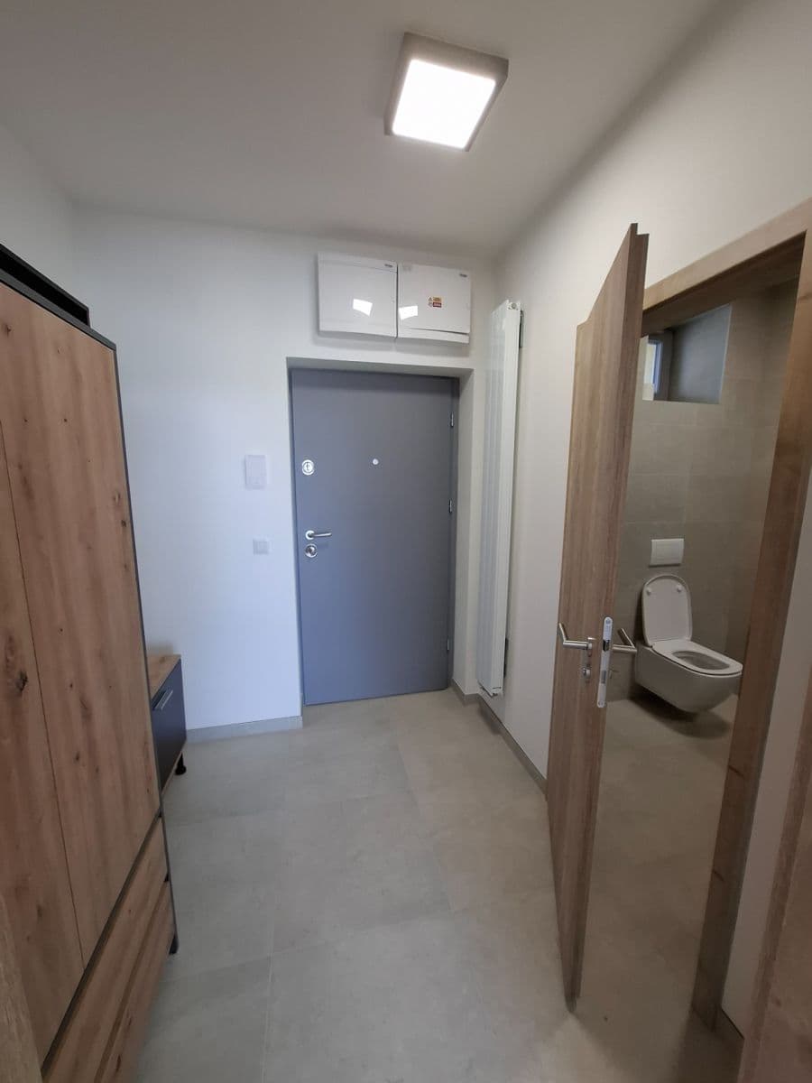 Prenájom bytu 1-izbový 32 m², Řepova, Brno, Jihomoravský kraj Prenájom bytu 1-izbový 32 m², Řepova, Brno, Jihomoravský kraj