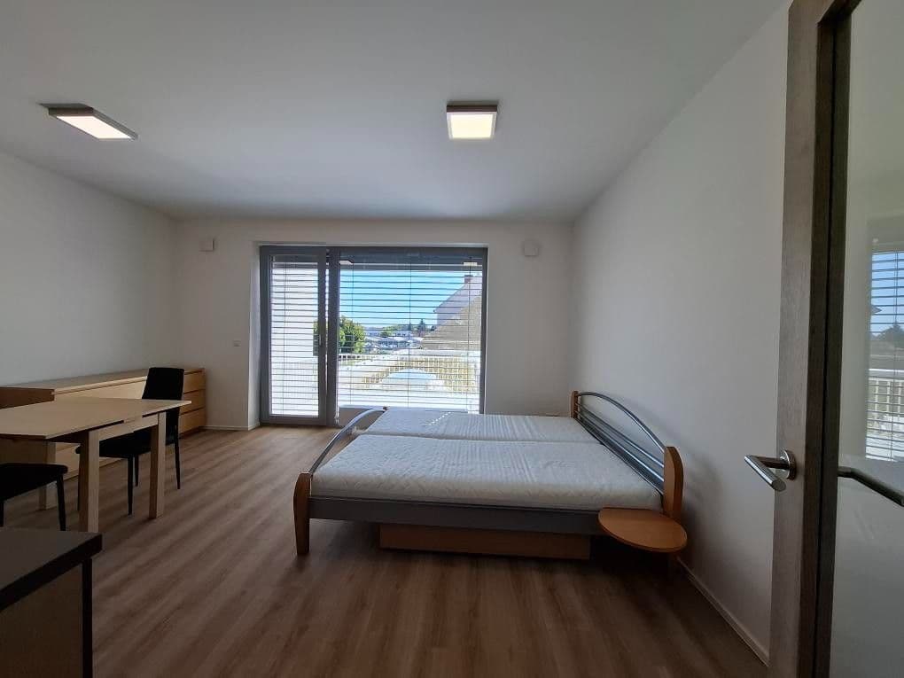 Prenájom bytu 1-izbový 32 m², Řepova, Brno, Jihomoravský kraj Prenájom bytu 1-izbový 32 m², Řepova, Brno, Jihomoravský kraj