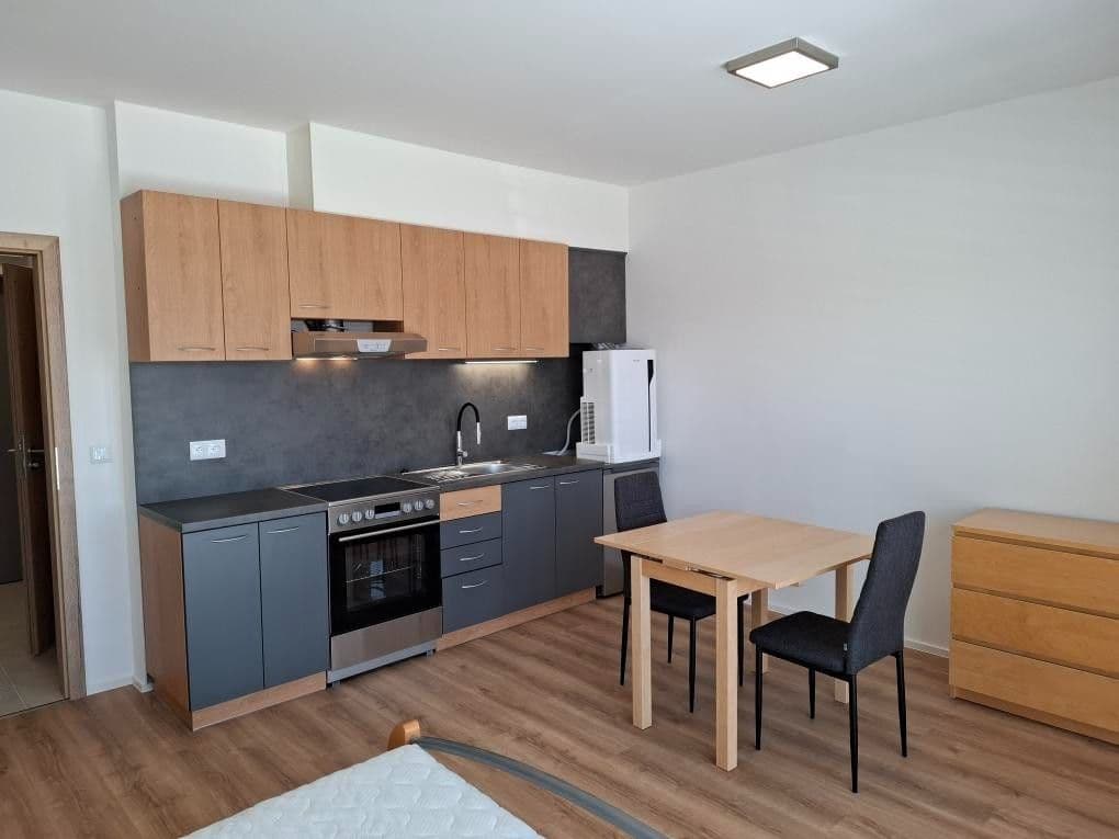 Prenájom bytu 1-izbový 32 m², Řepova, Brno, Jihomoravský kraj Prenájom bytu 1-izbový 32 m², Řepova, Brno, Jihomoravský kraj