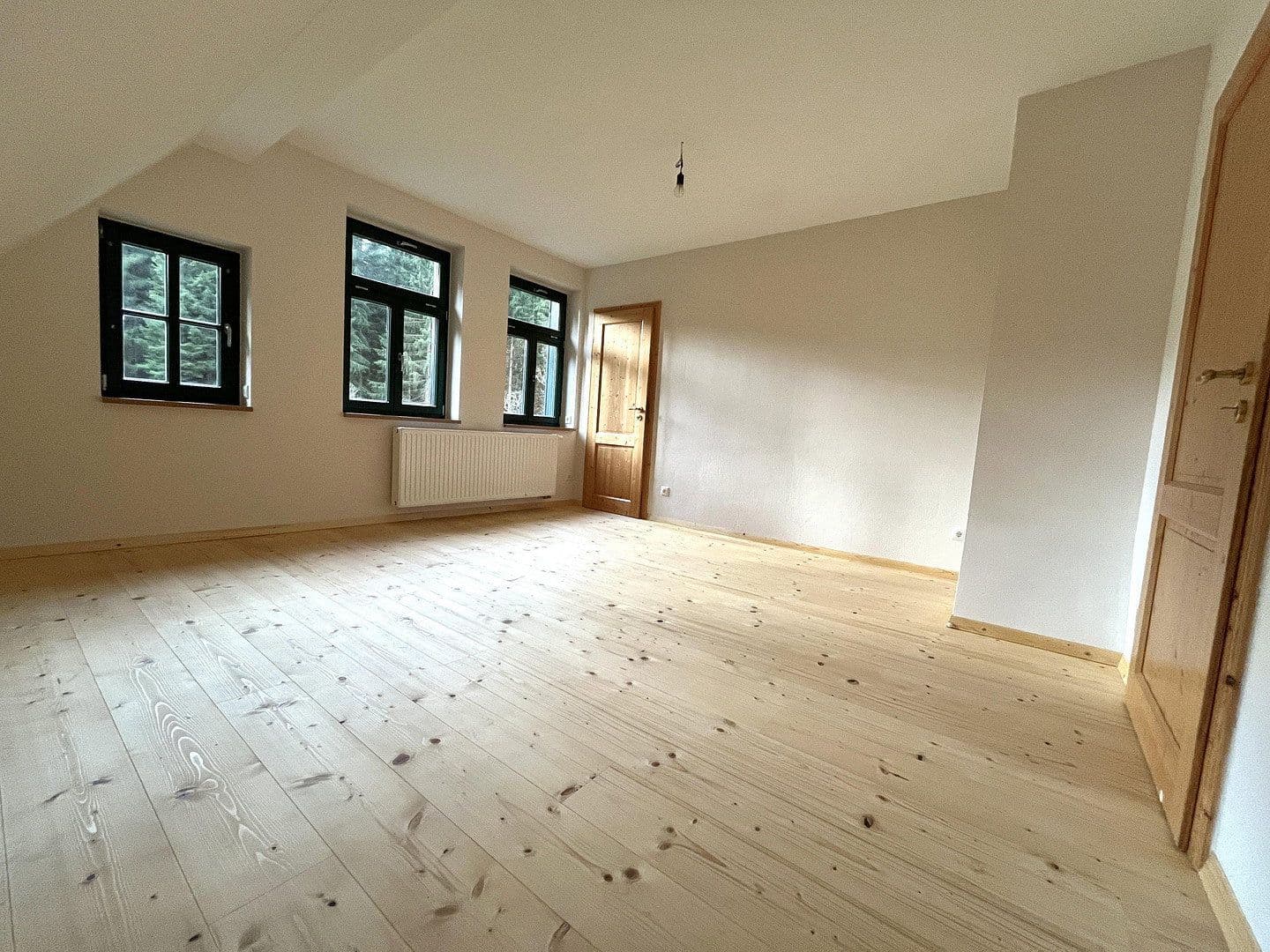 Predaj domu 268 m², pozemok 10.000 m², Eibenstock, Sasko Predaj domu 268 m², pozemok 10.000 m², Eibenstock, Sasko