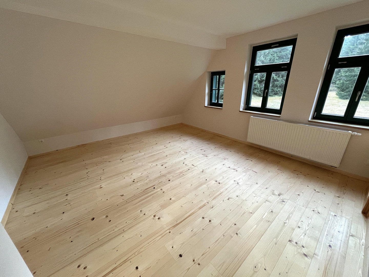 Predaj domu 268 m², pozemok 10.000 m², Eibenstock, Sasko Predaj domu 268 m², pozemok 10.000 m², Eibenstock, Sasko